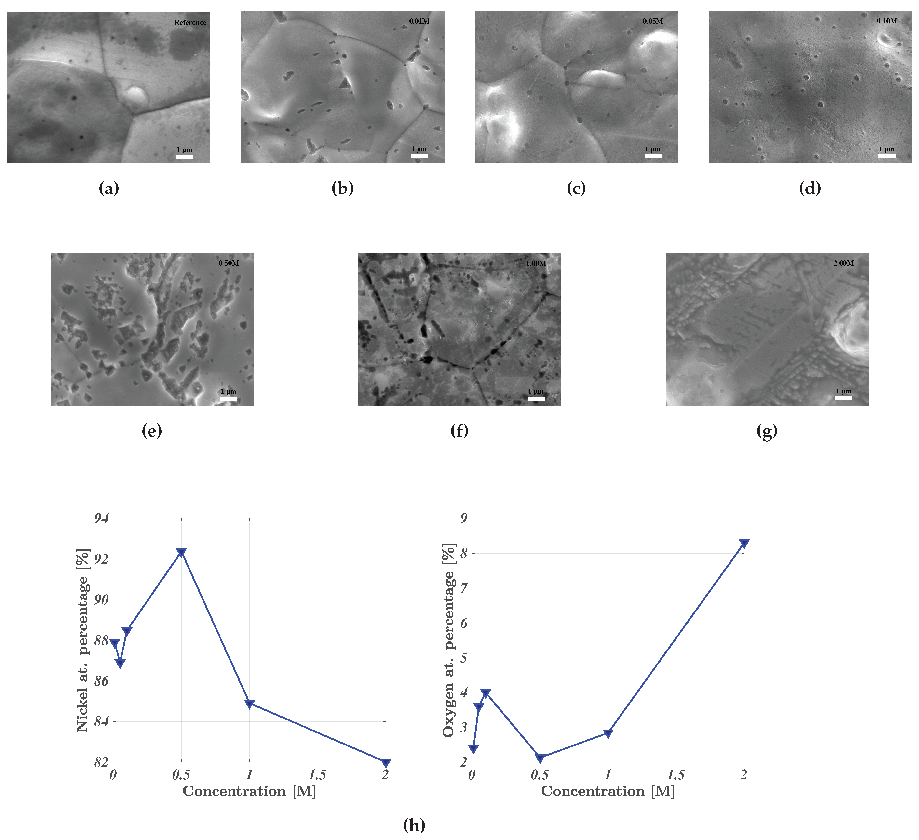 Preprints 66838 g002