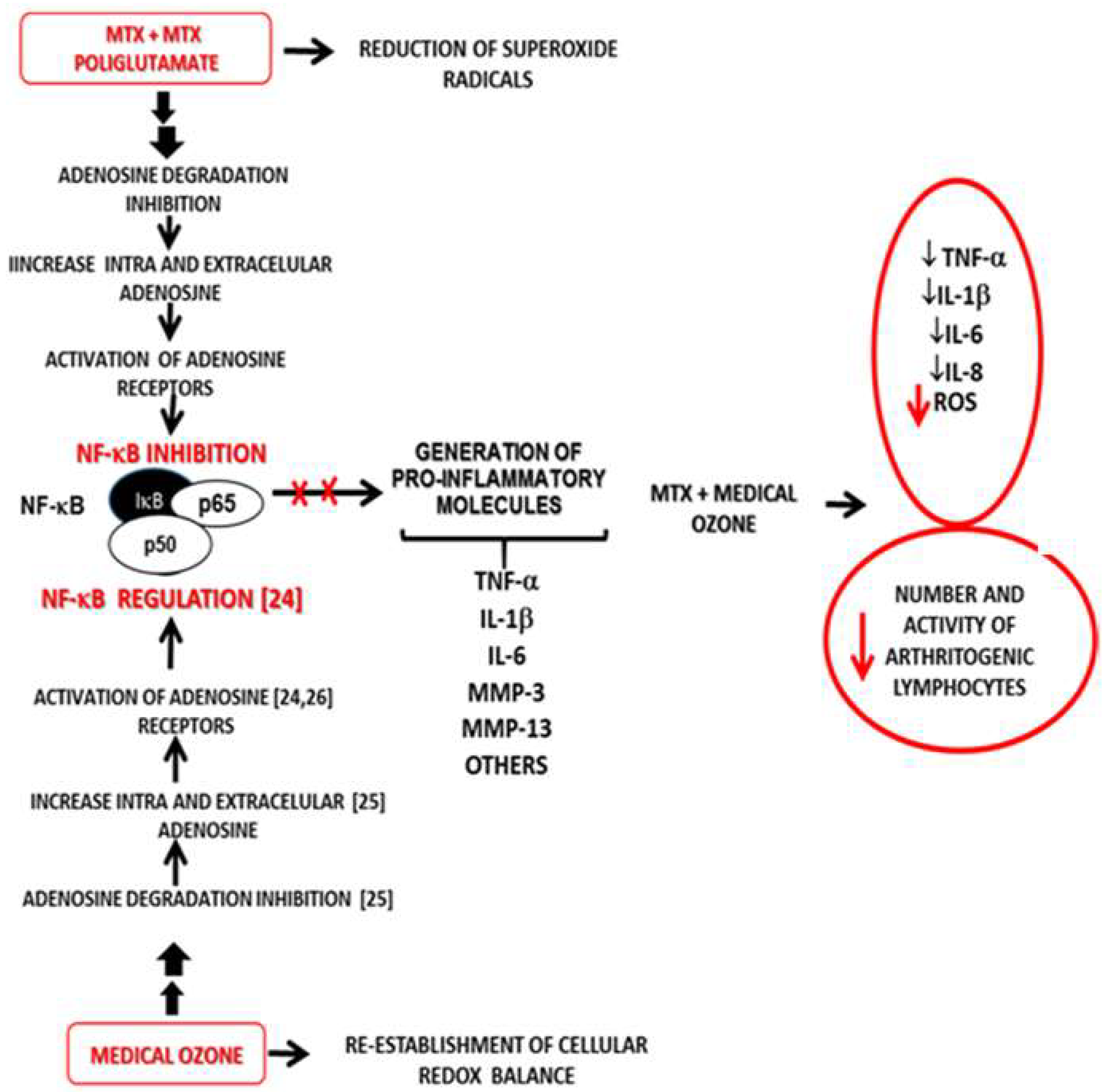 Preprints 120096 g007