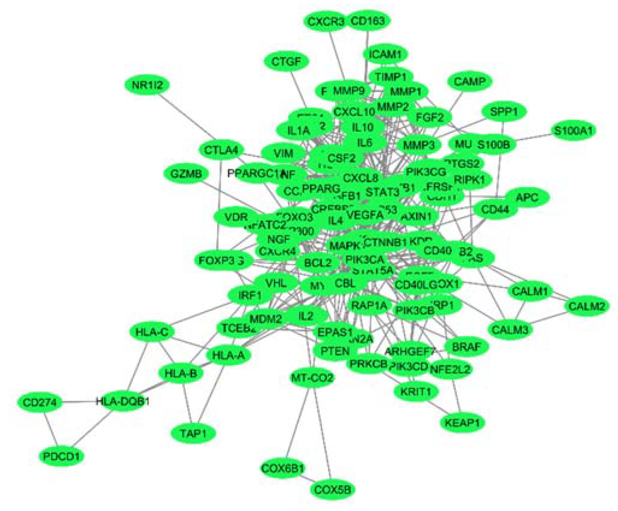 Preprints 116668 g003