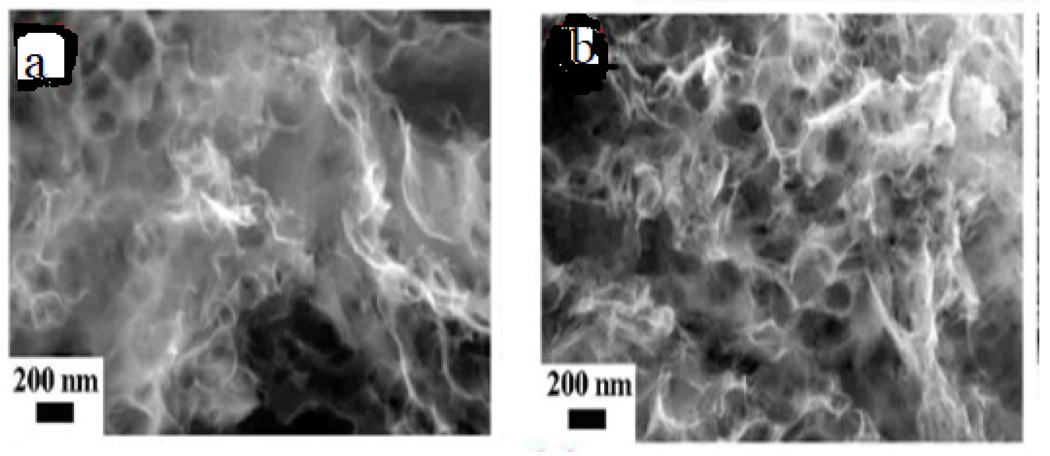 Preprints 112606 g015