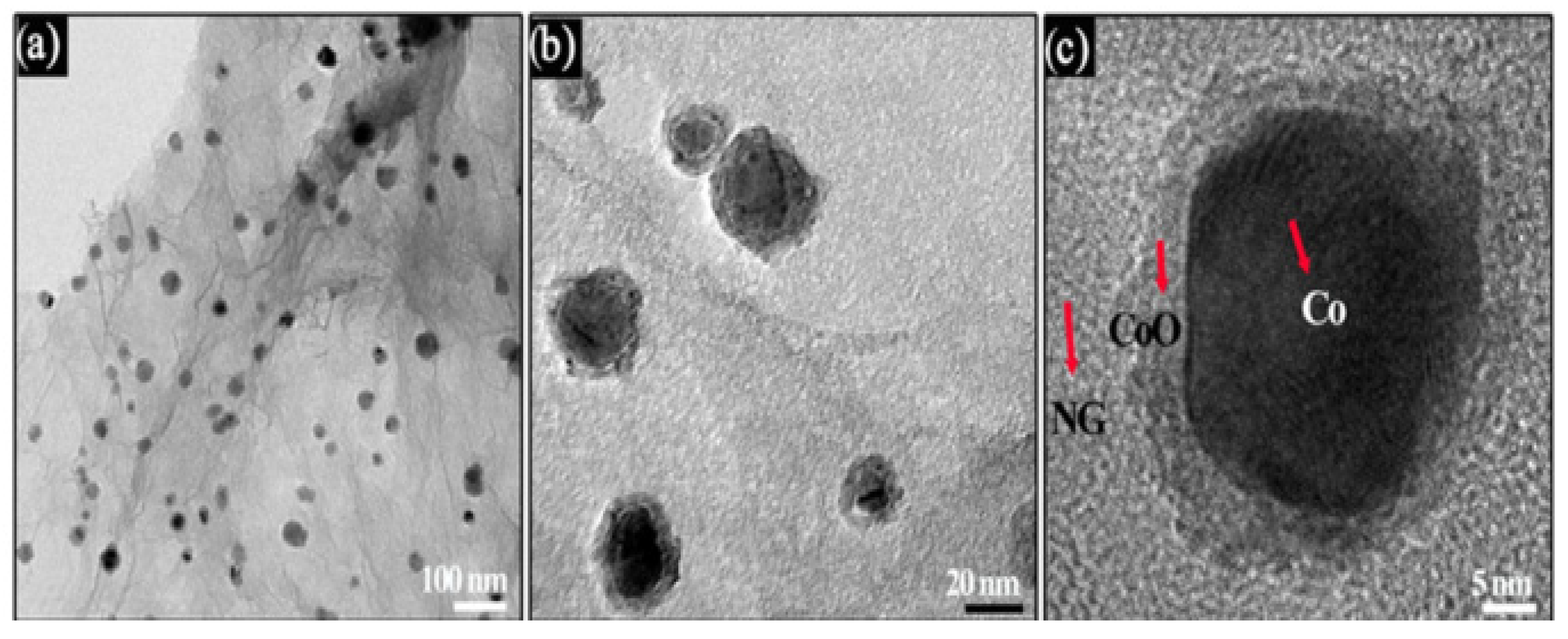 Preprints 112606 g017