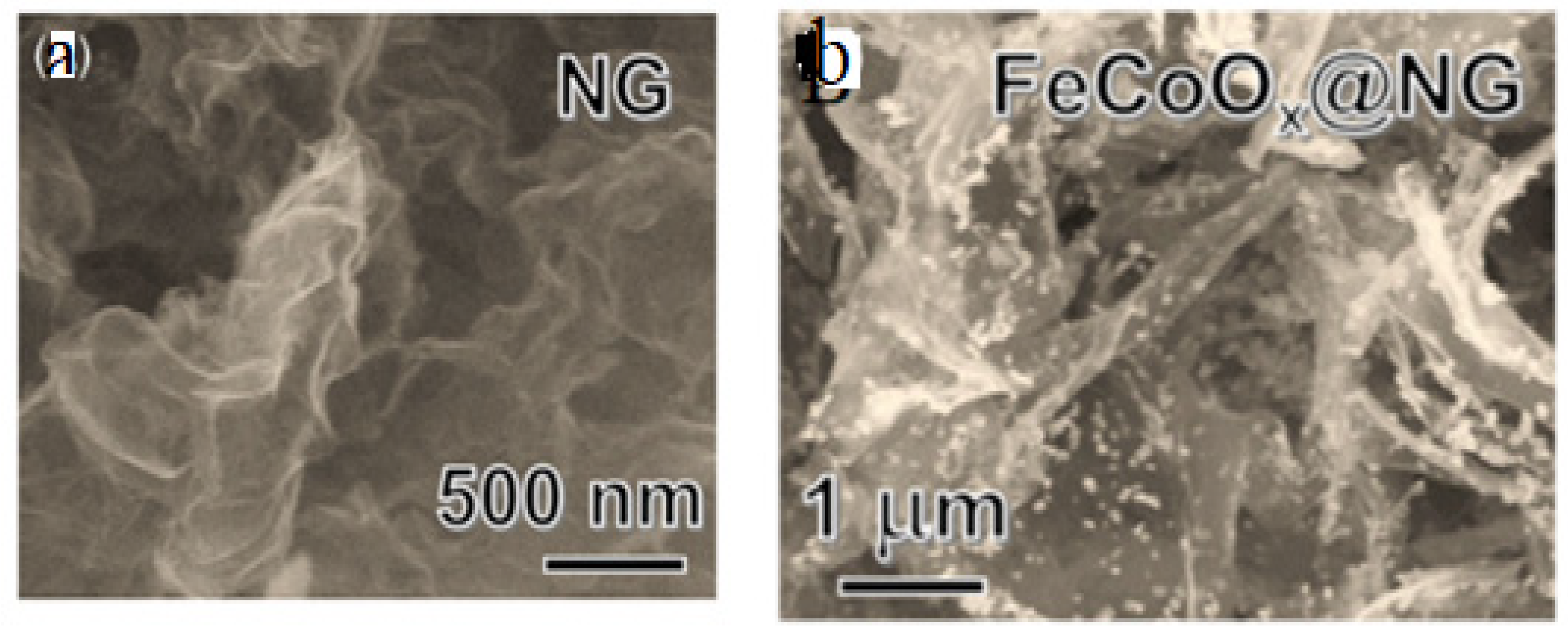 Preprints 112606 g019