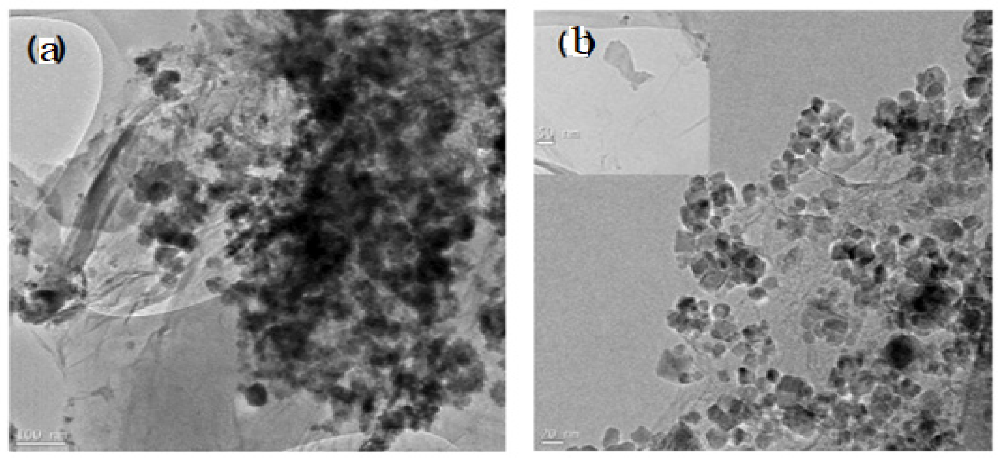 Preprints 112606 g020