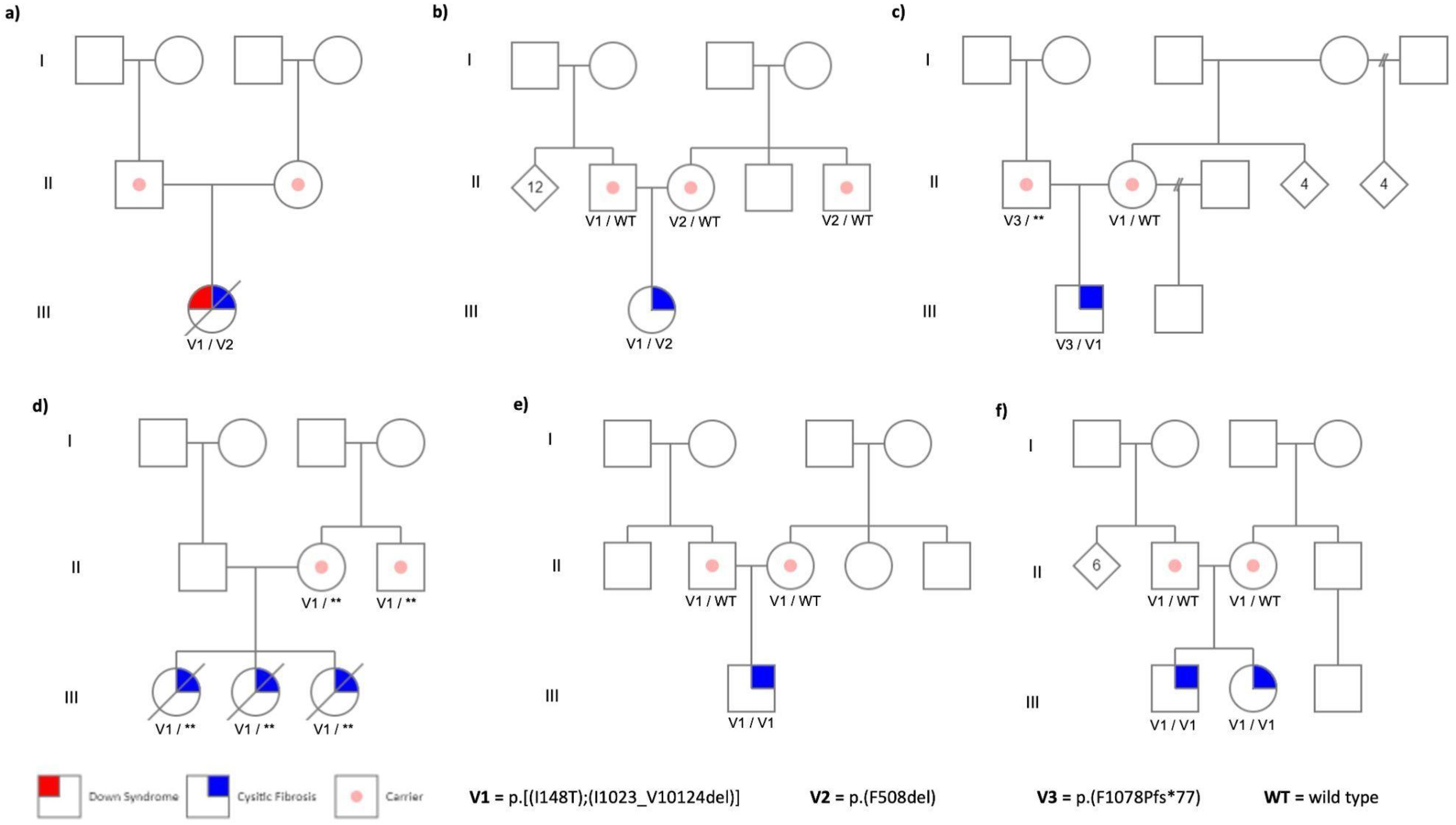 Preprints 120108 g001