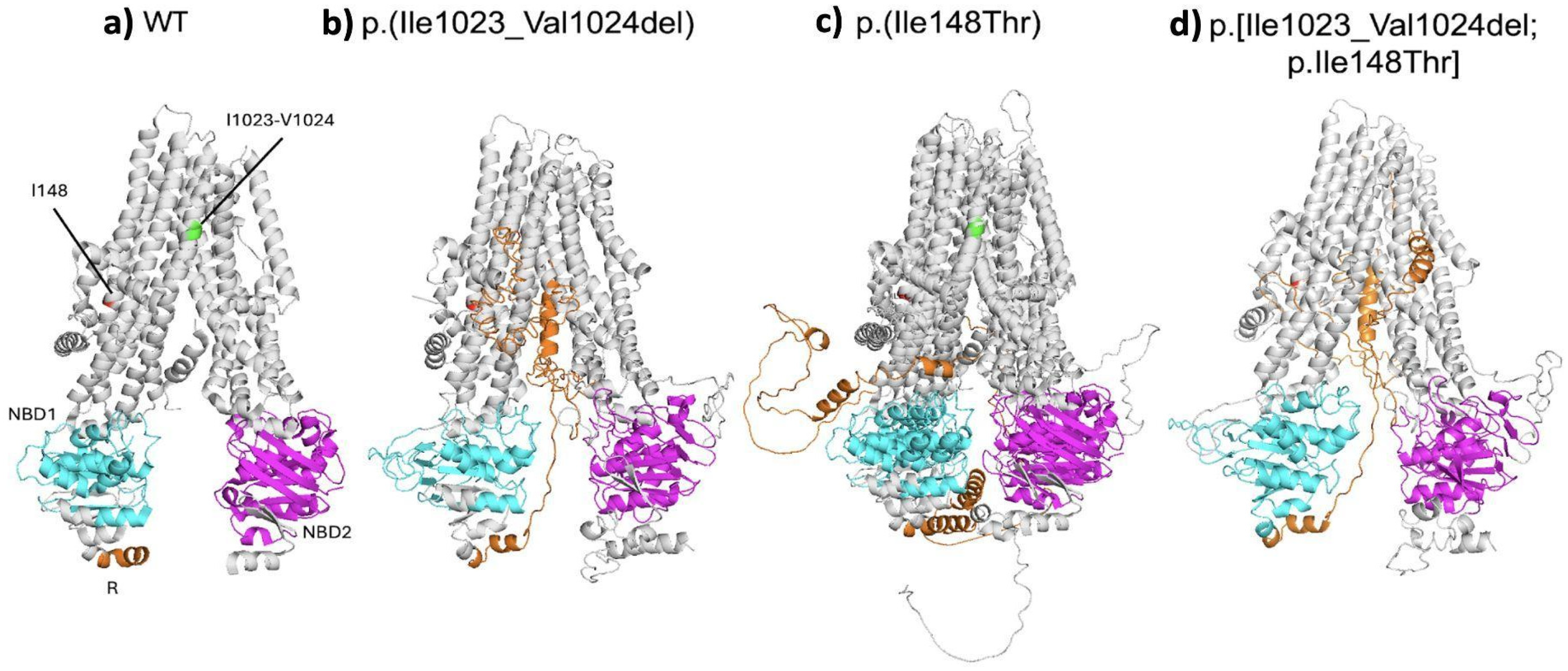 Preprints 120108 g003