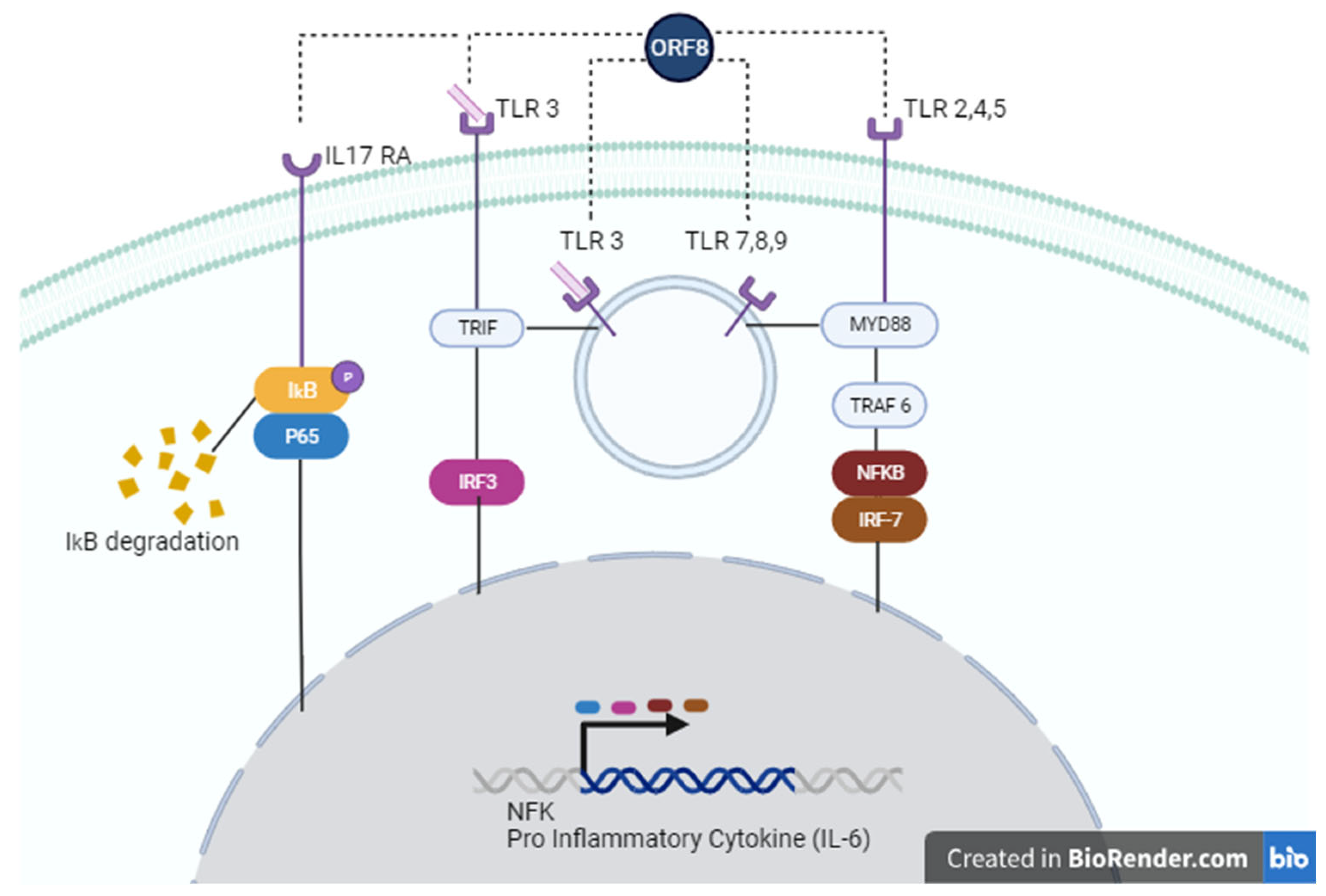 Preprints 91823 g003