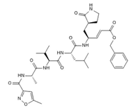 Preprints 82993 i002