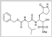 Preprints 82993 i003