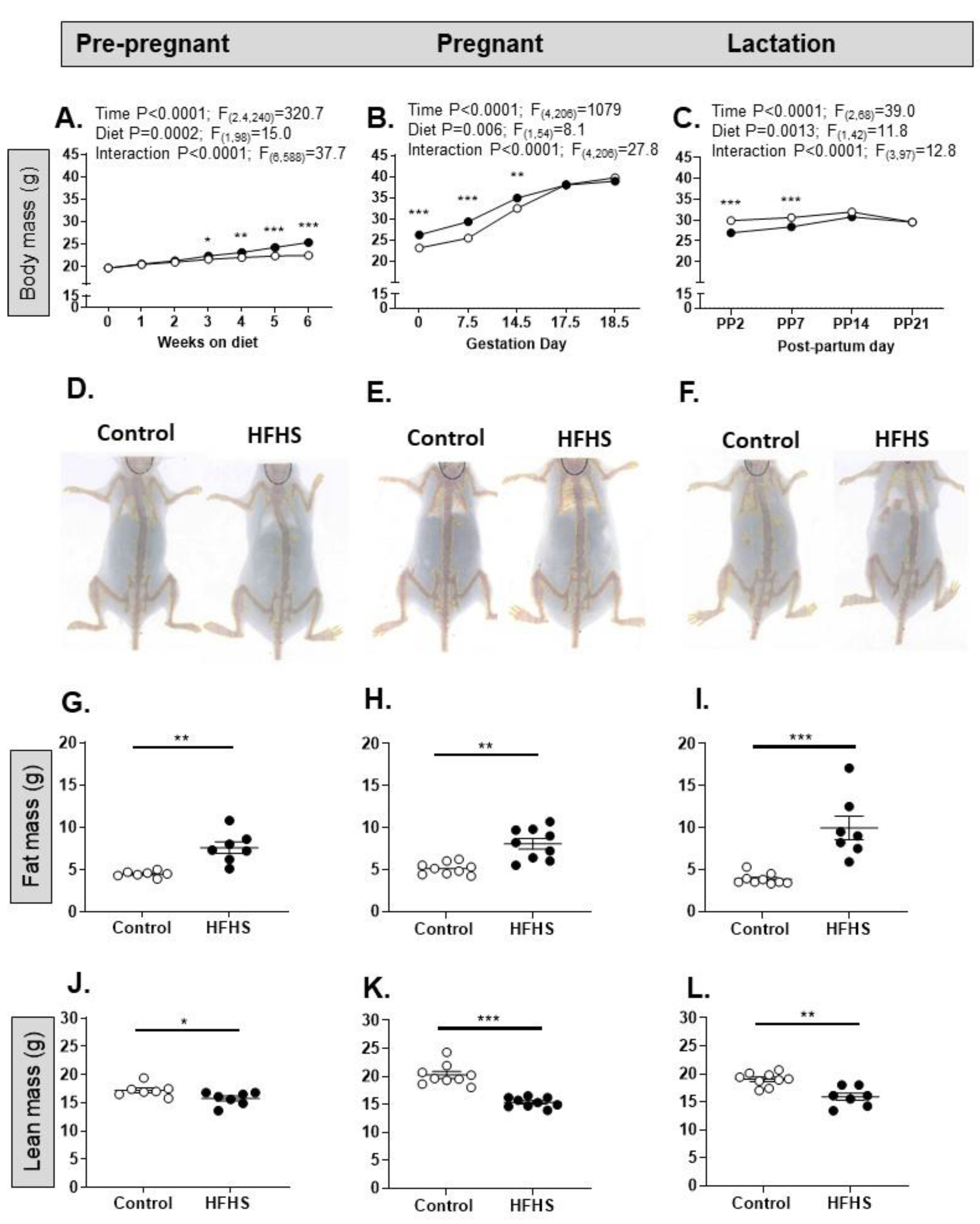 Preprints 87521 g002