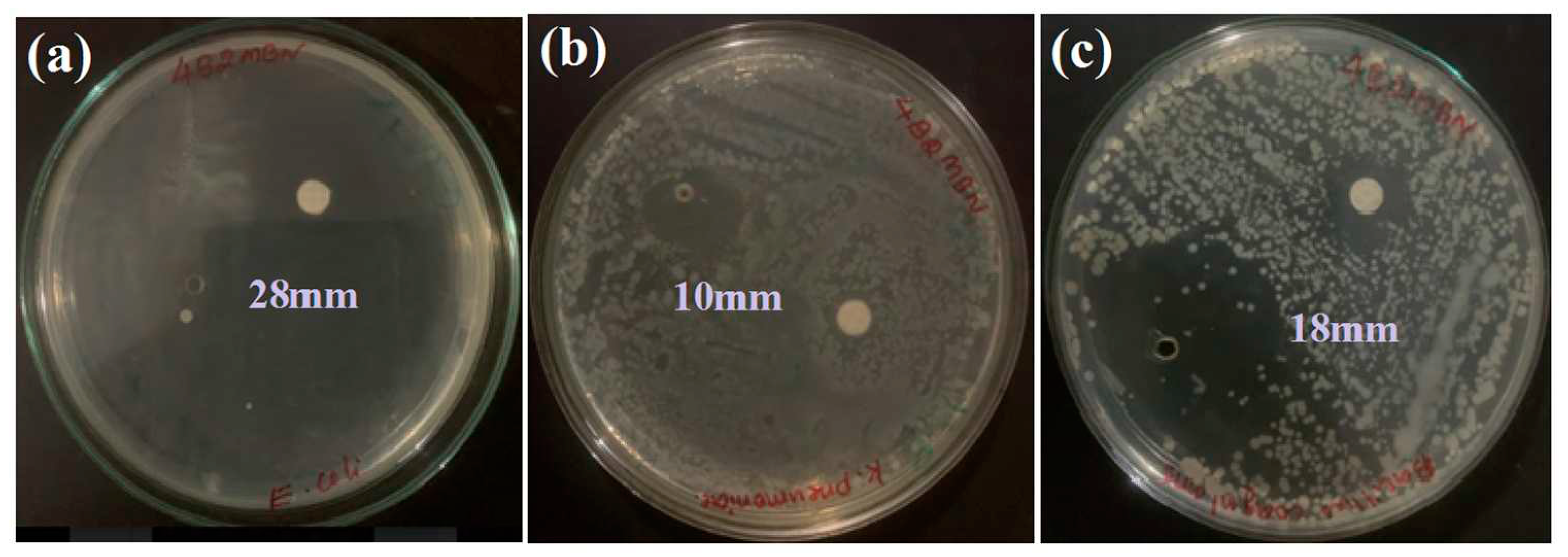 Preprints 83436 g009