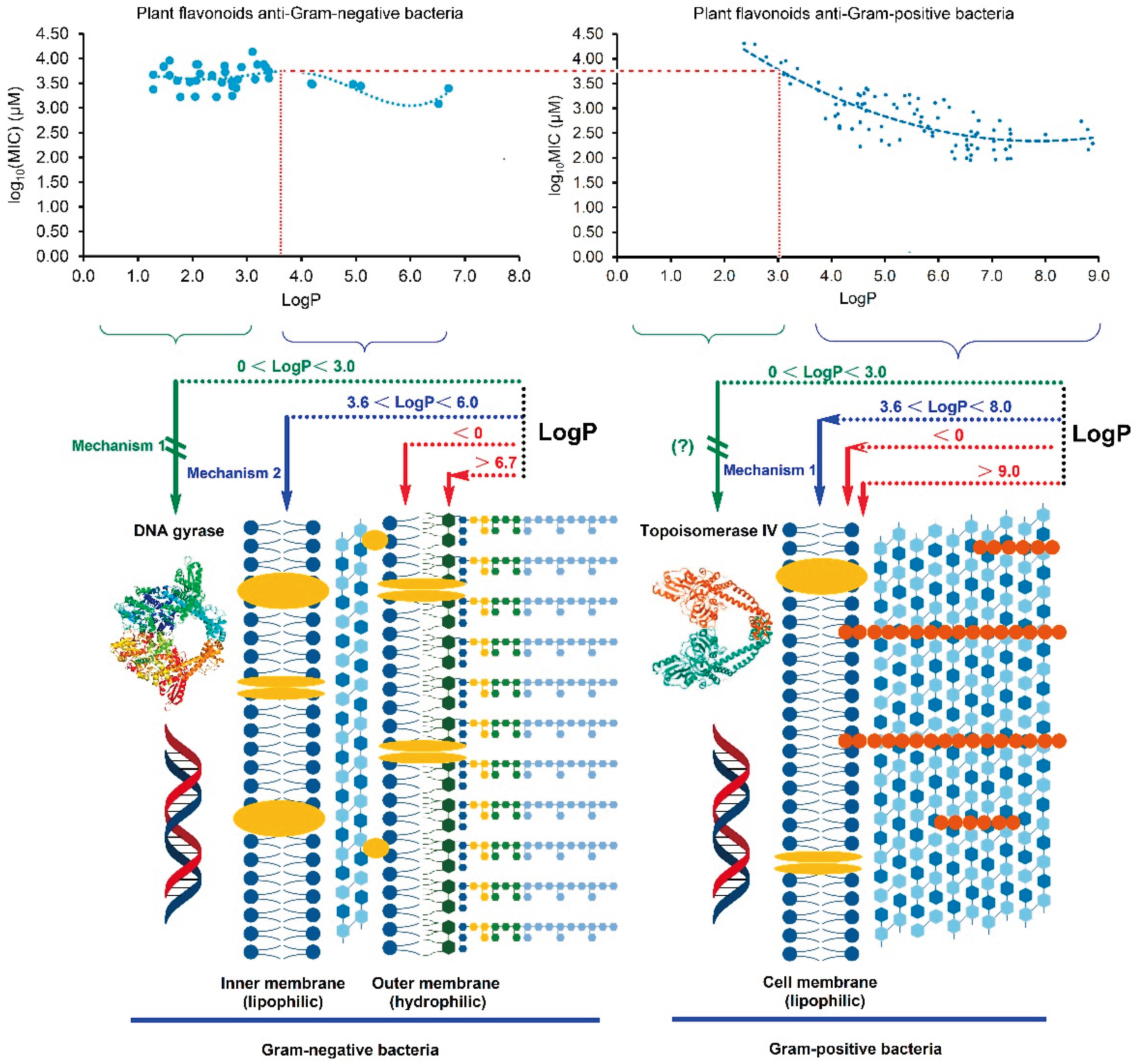 Preprints 99370 g004