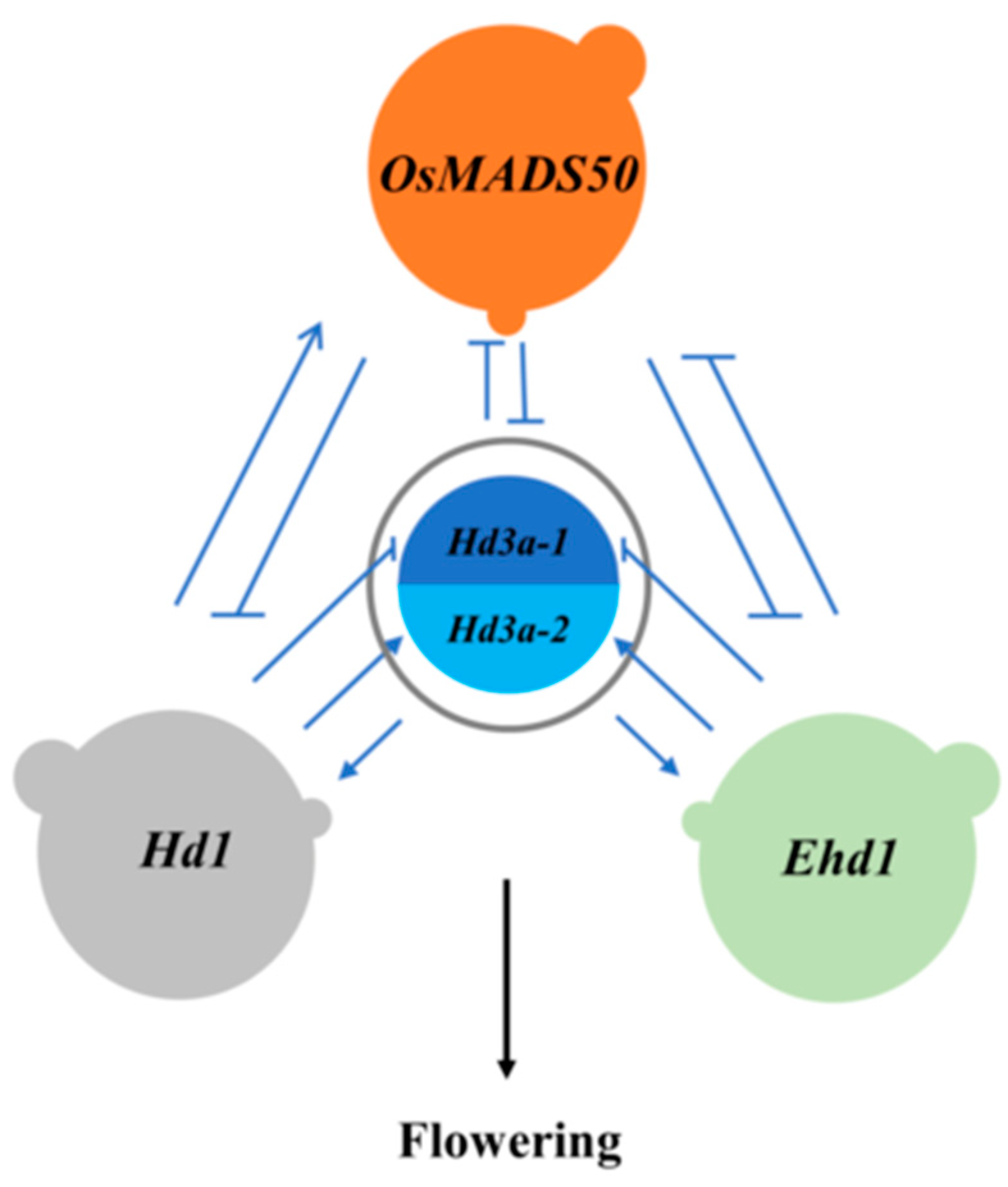 Preprints 80812 g001