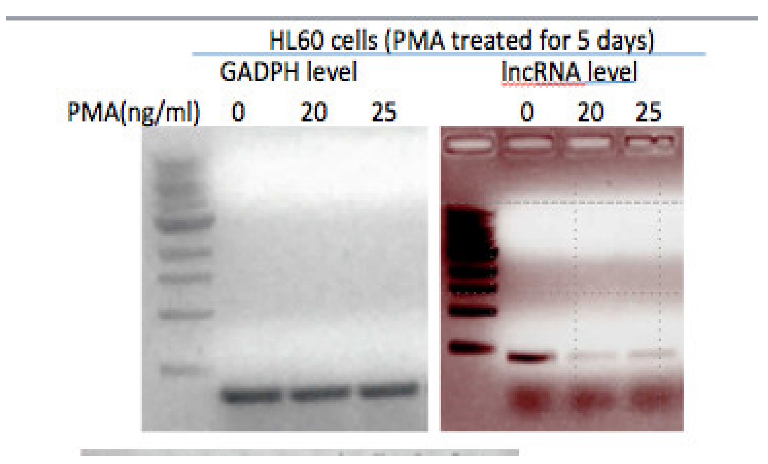 Preprints 112410 g001