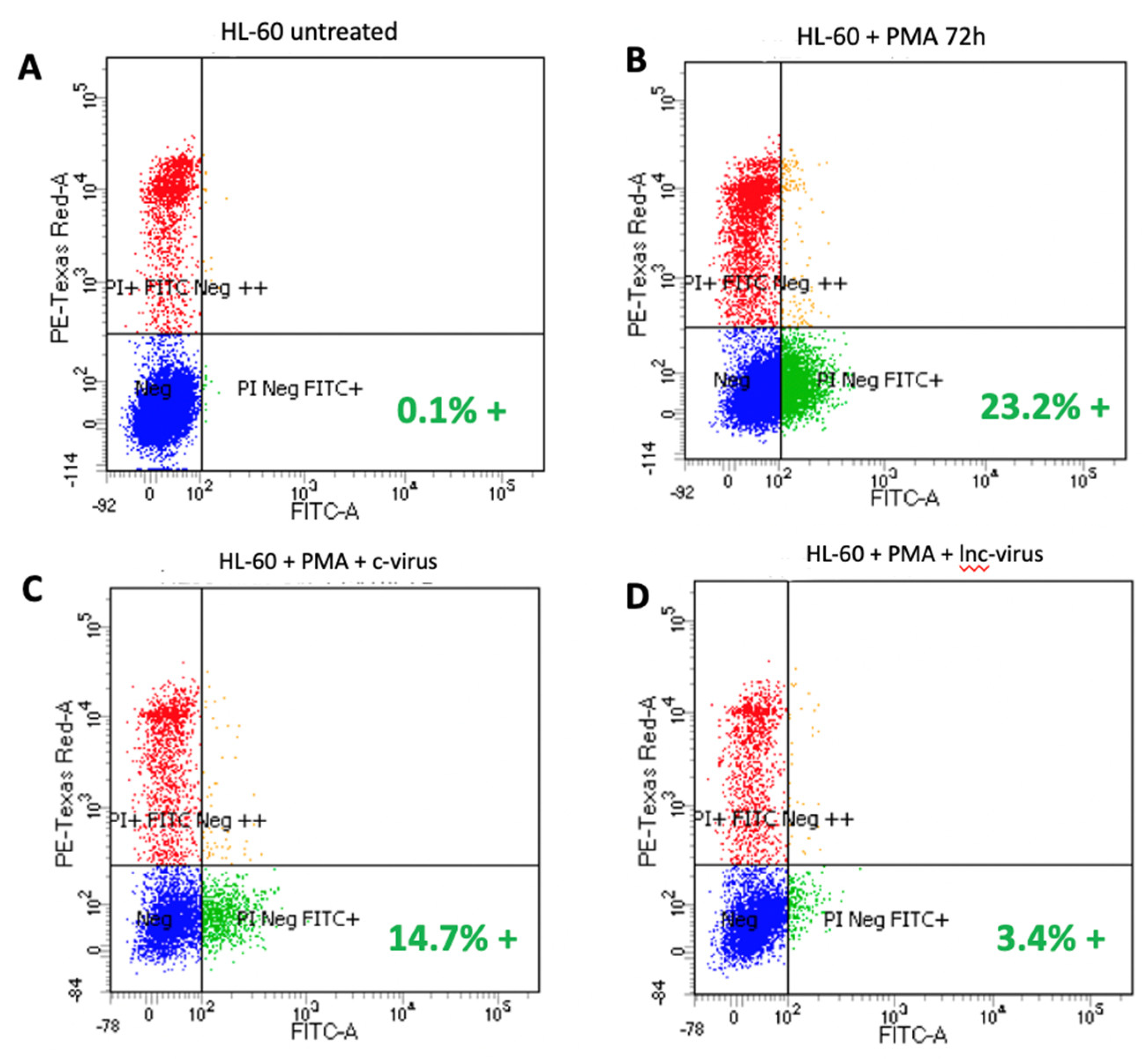 Preprints 112410 g002