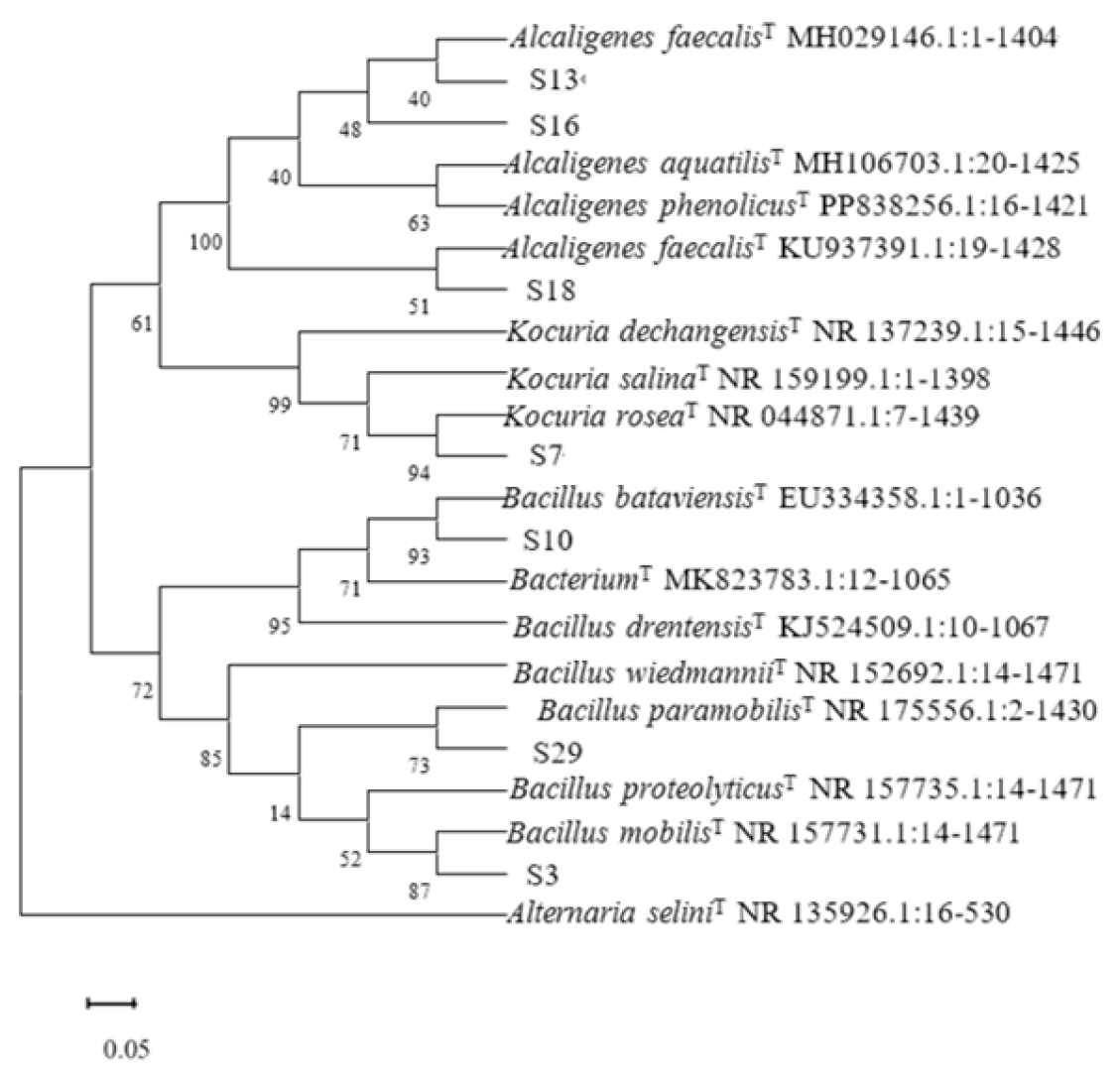 Preprints 115833 g009