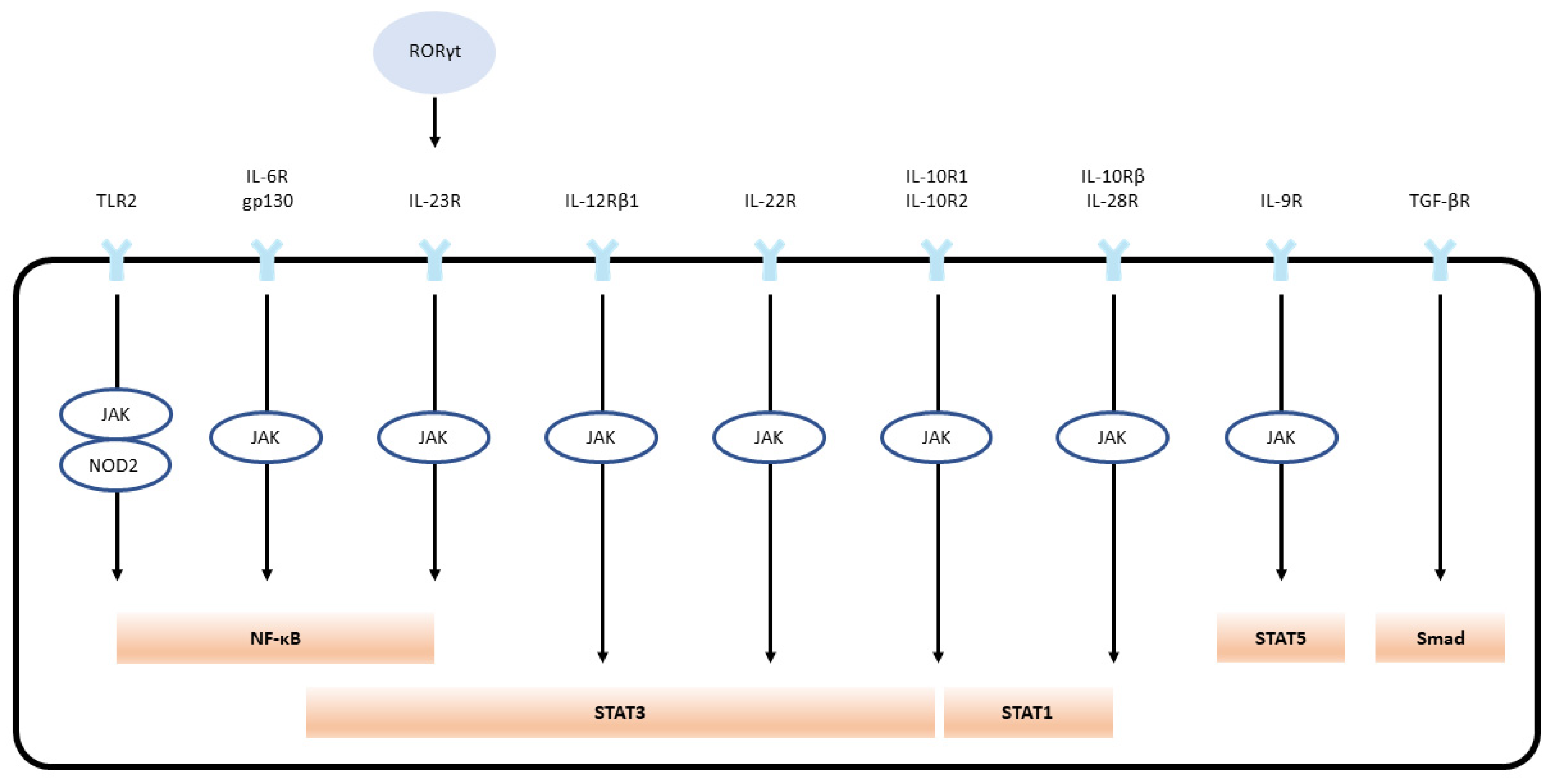 Preprints 89659 g001