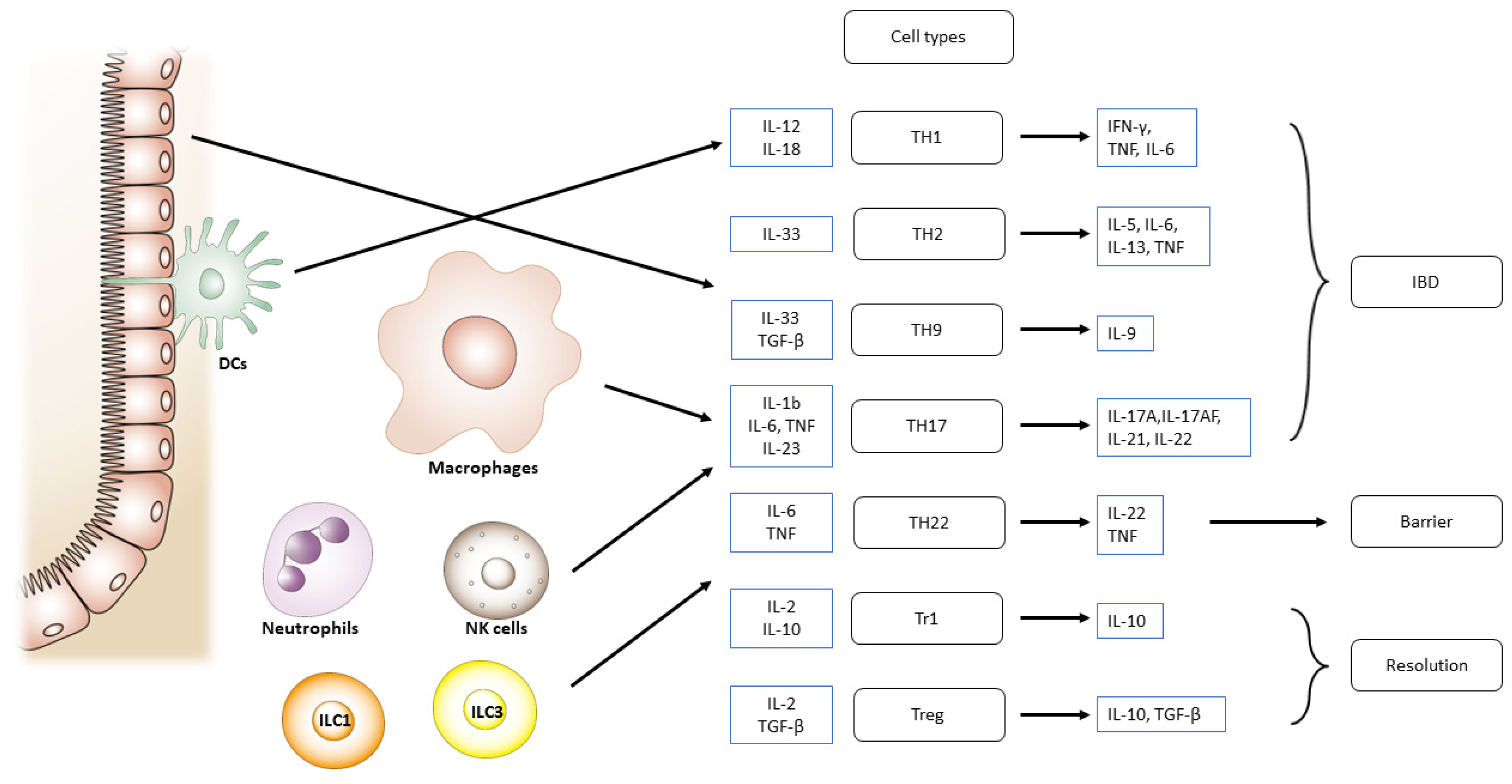 Preprints 89659 g003