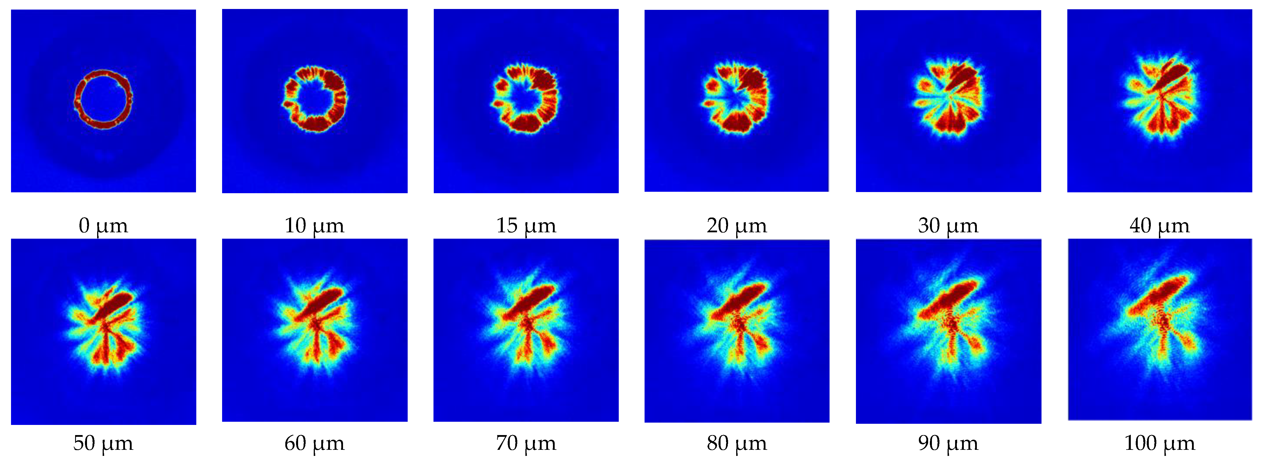 Preprints 74680 g010