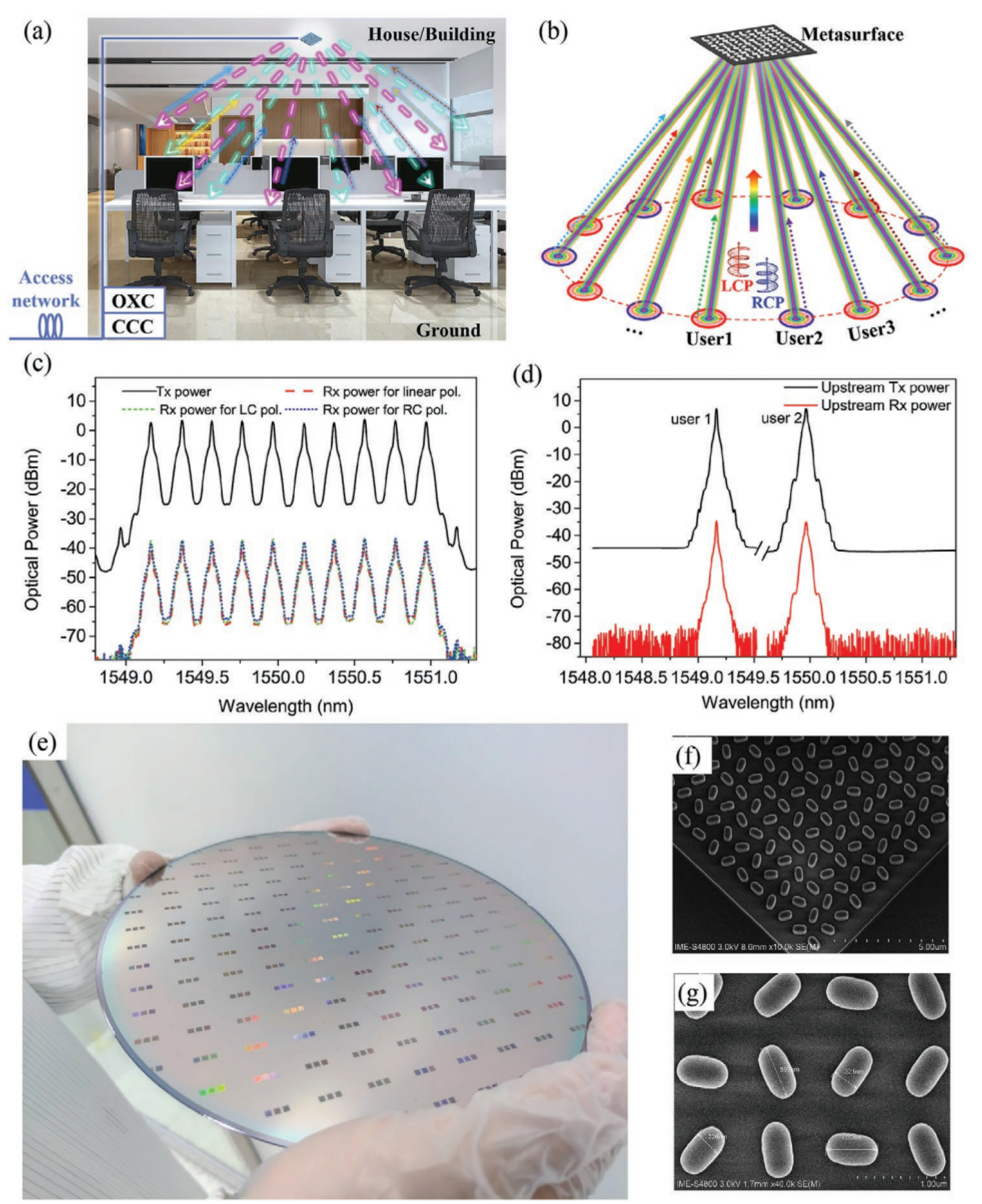 Preprints 114222 g005