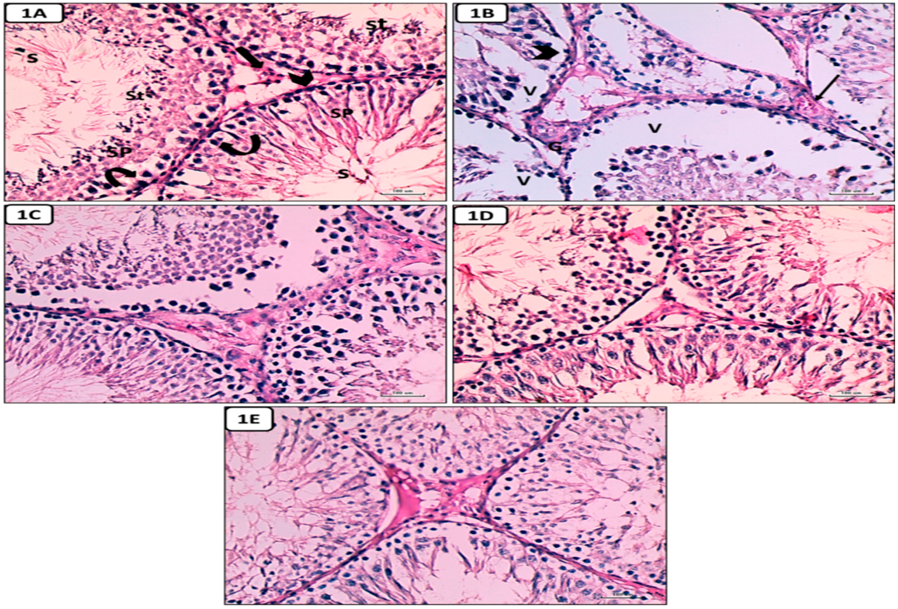 Preprints 87960 g007