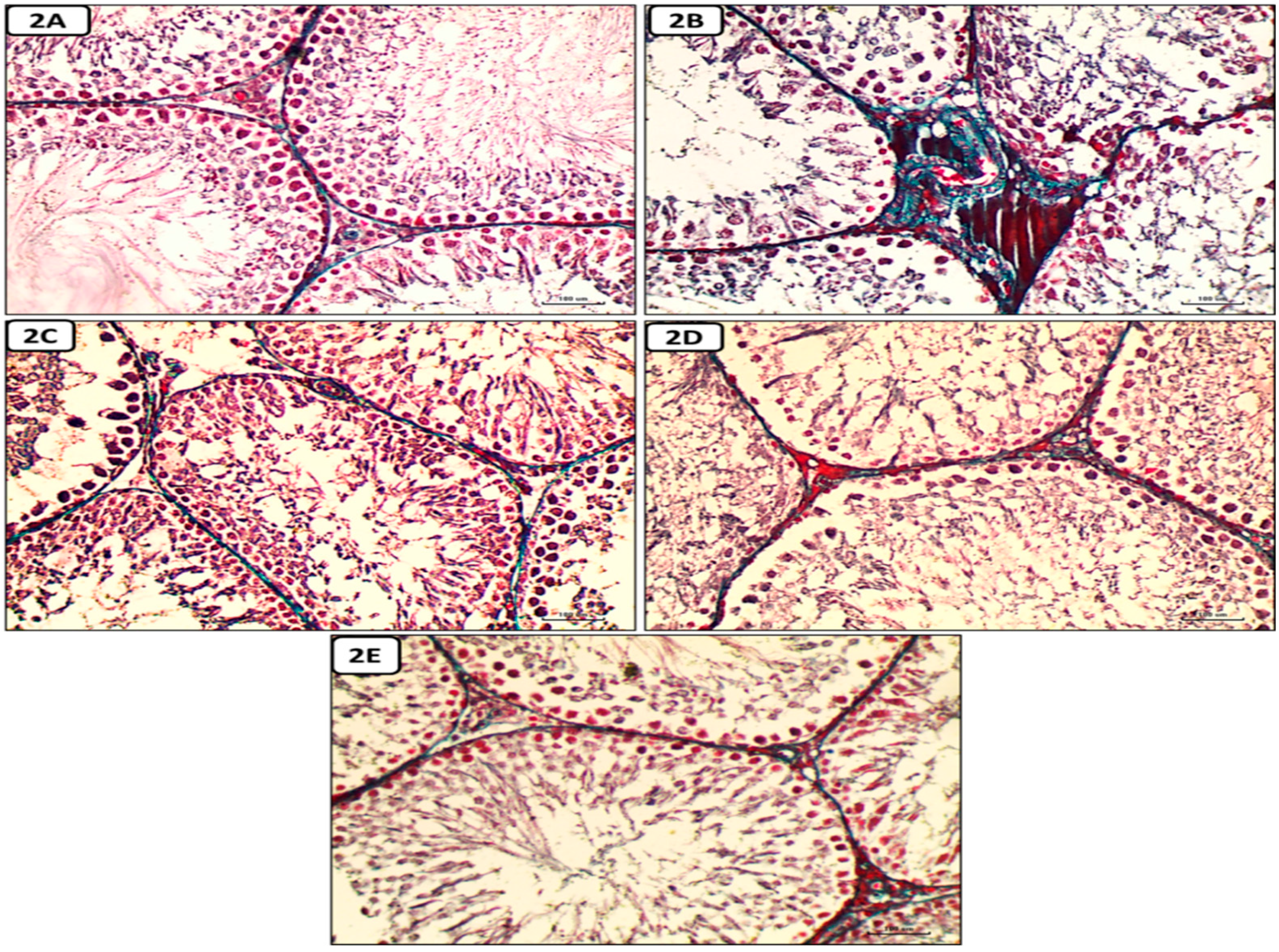 Preprints 87960 g008