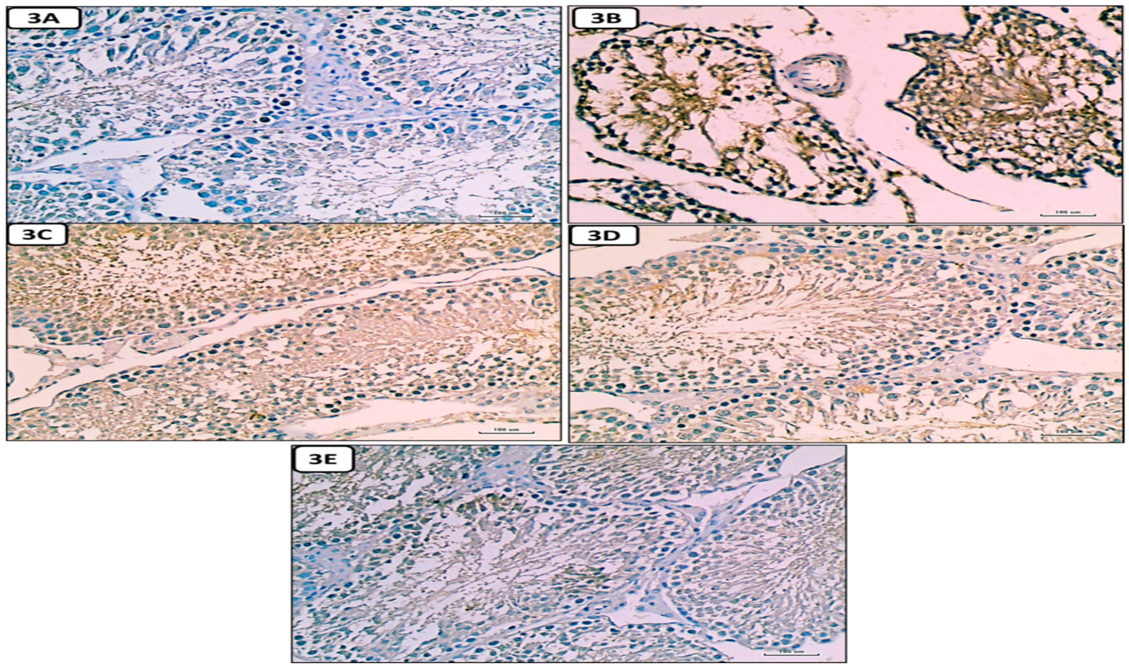 Preprints 87960 g009