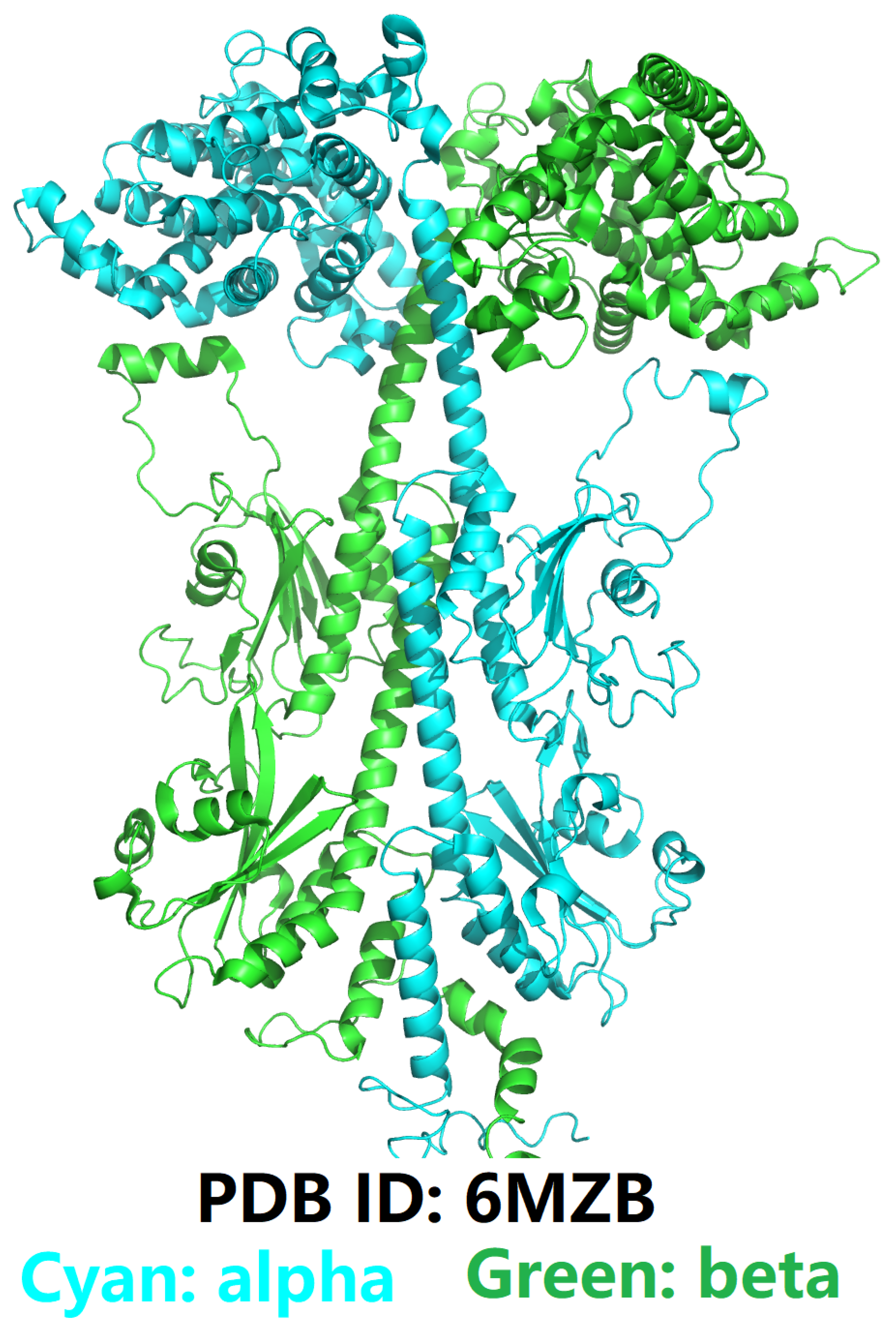 Preprints 107052 g002