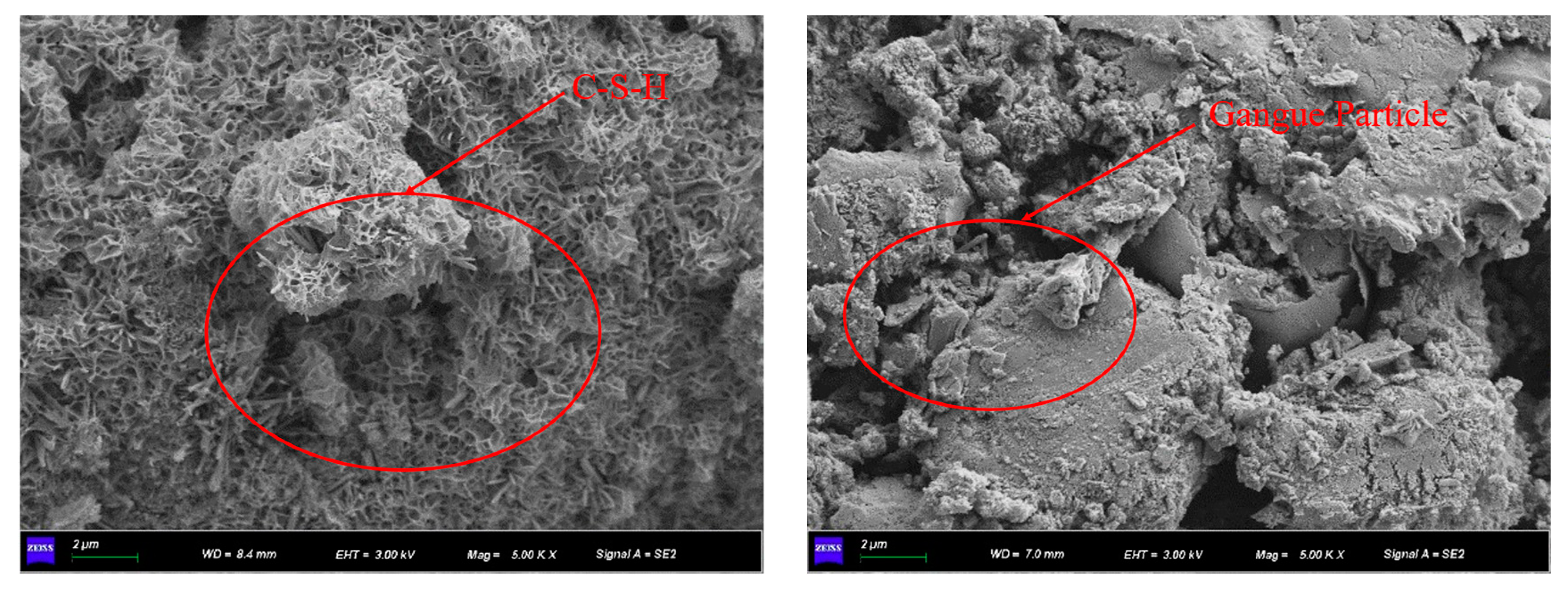 Preprints 78731 g020a