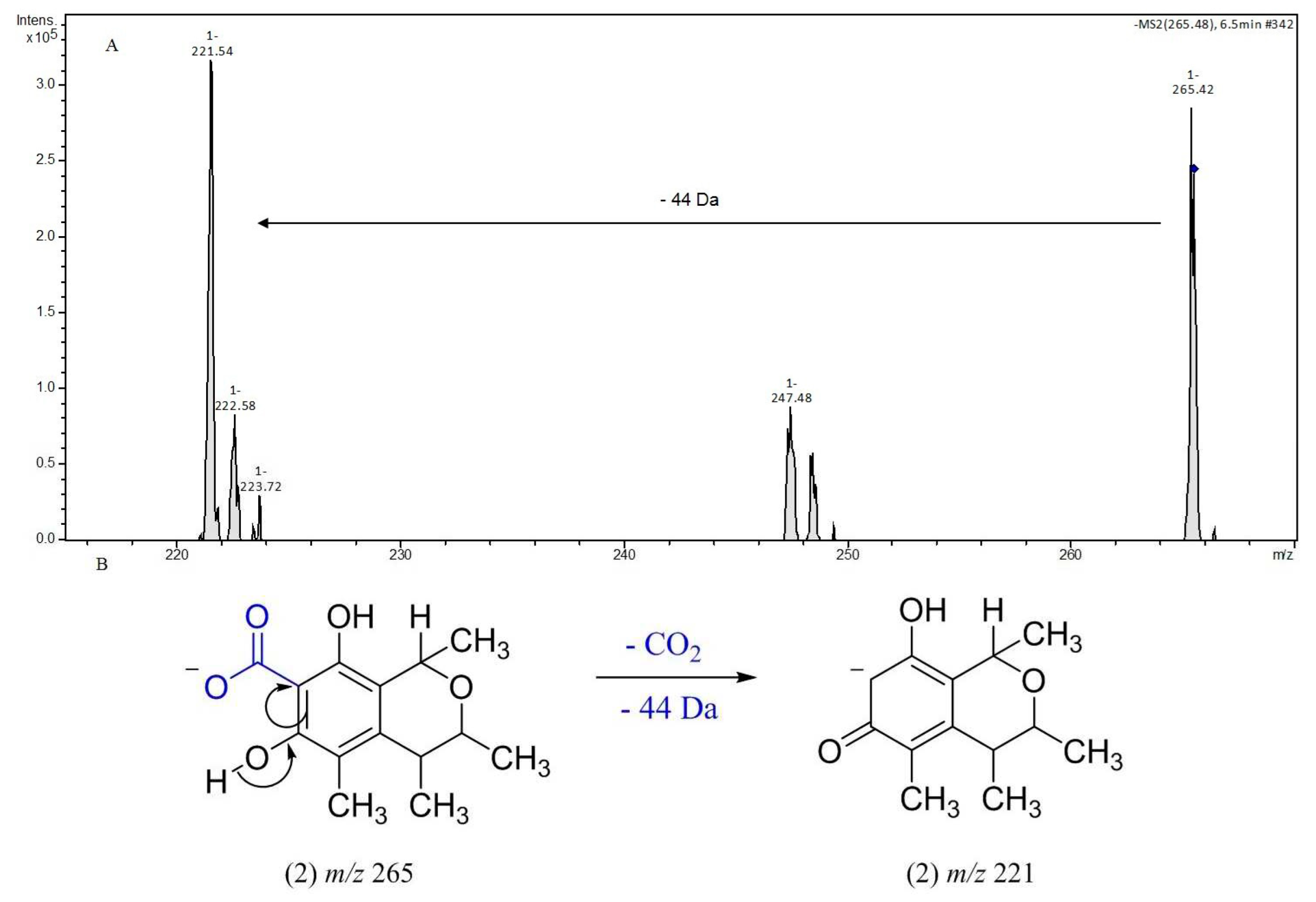 Preprints 96914 g002