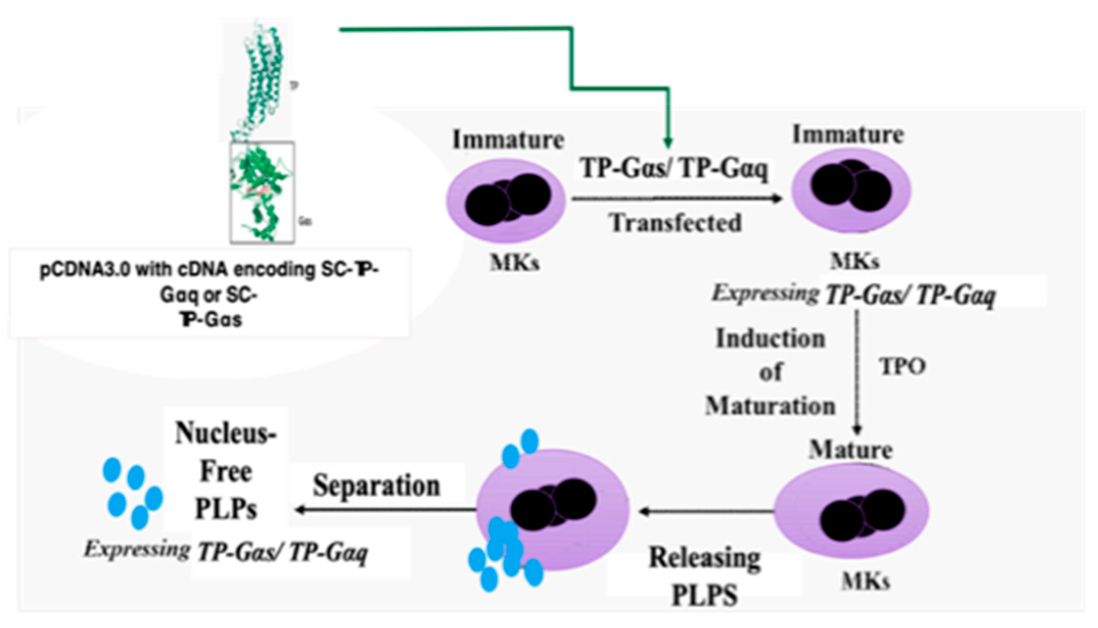 Preprints 81707 g003