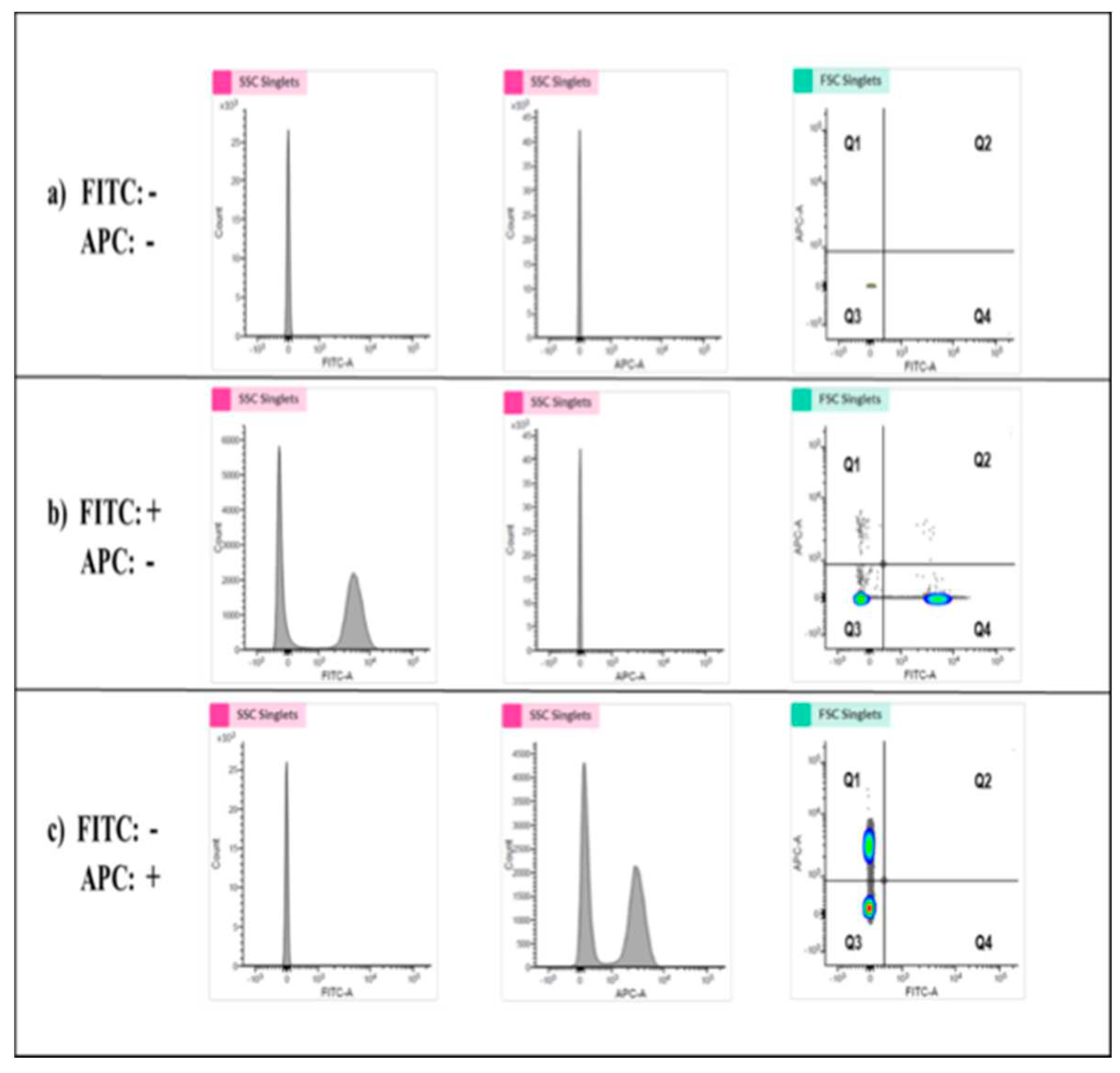 Preprints 81707 g008