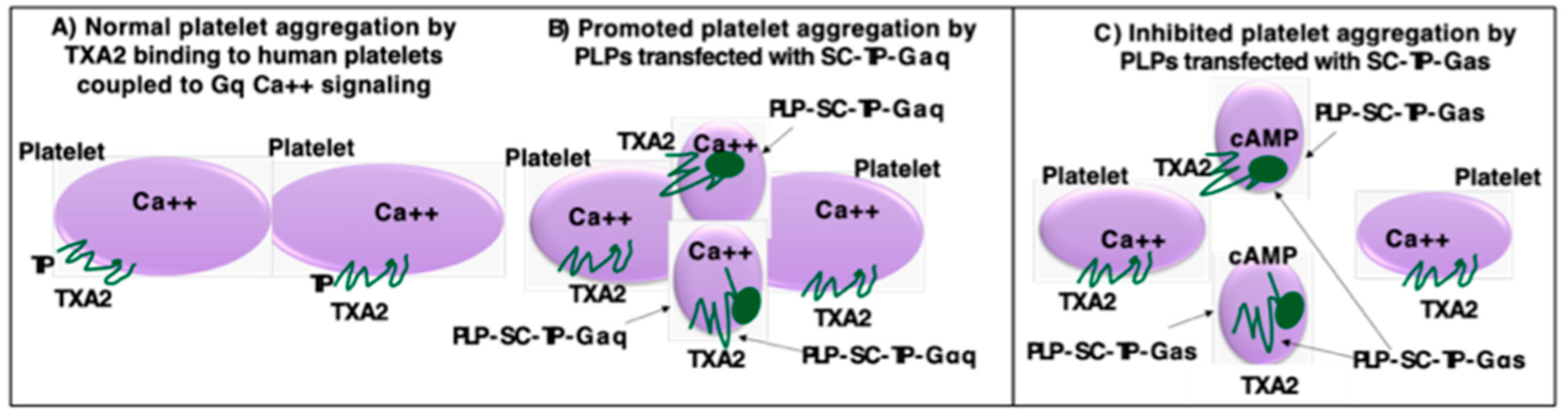 Preprints 81707 g010