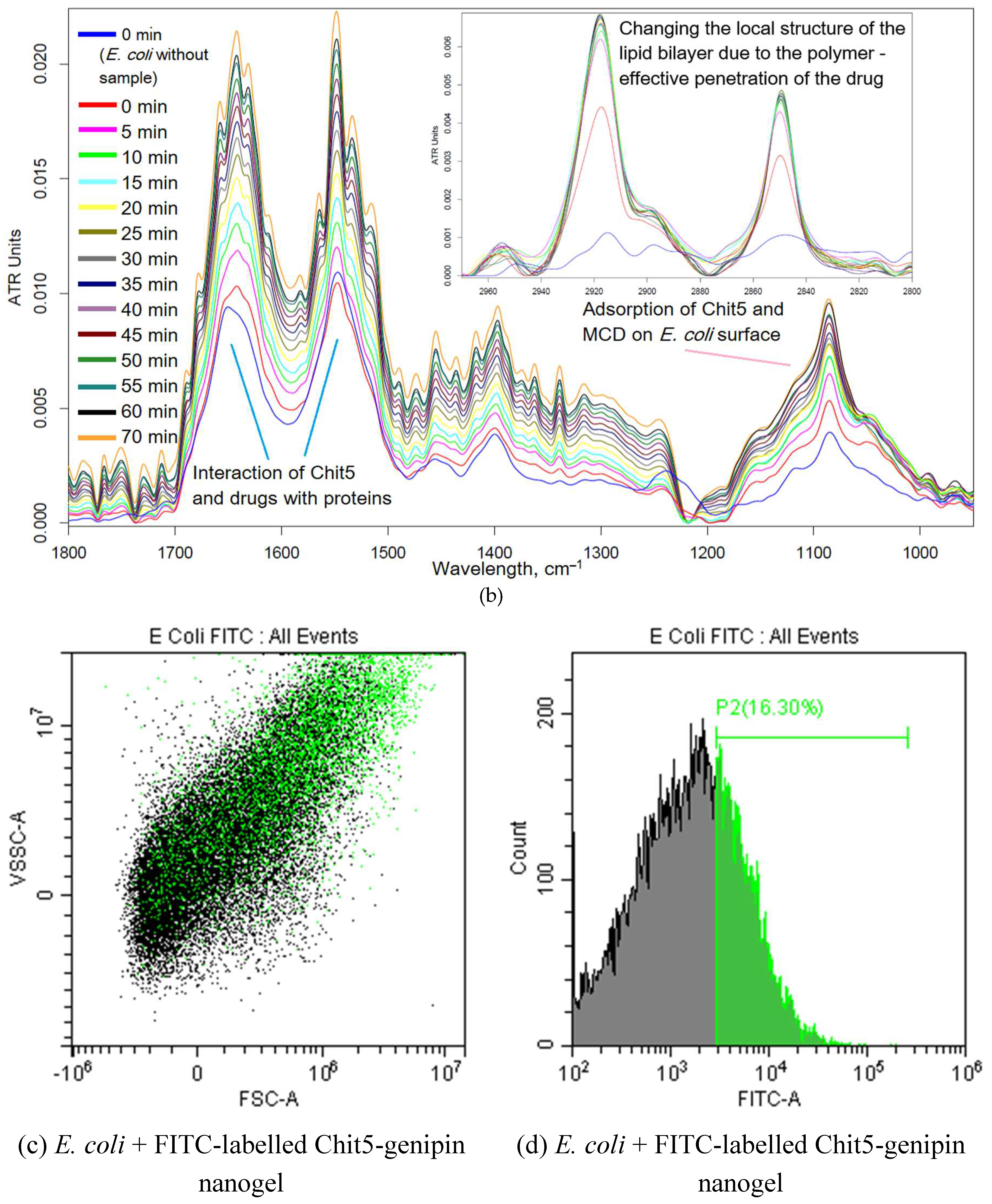 Preprints 81147 g004b