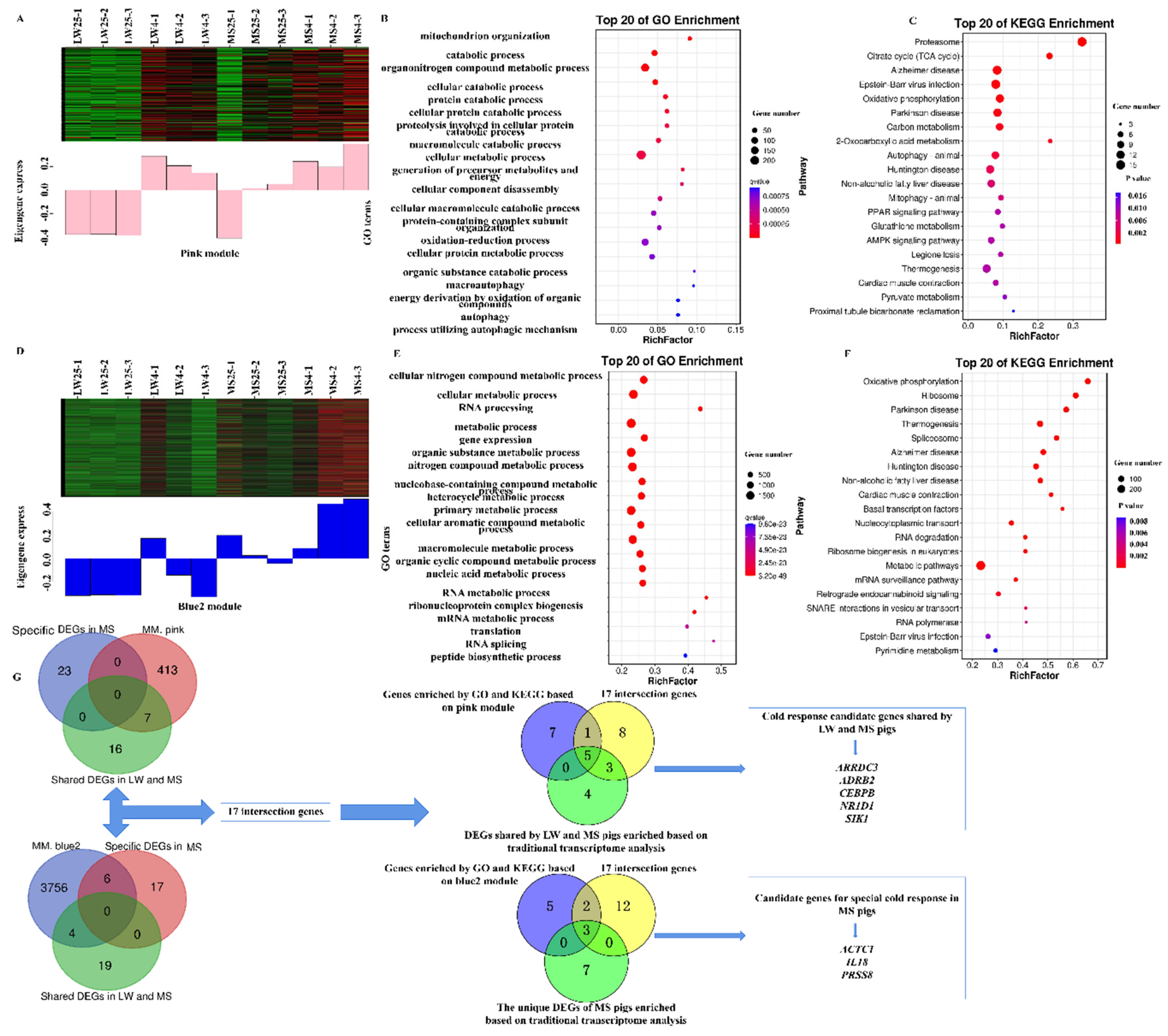 Preprints 84700 g006