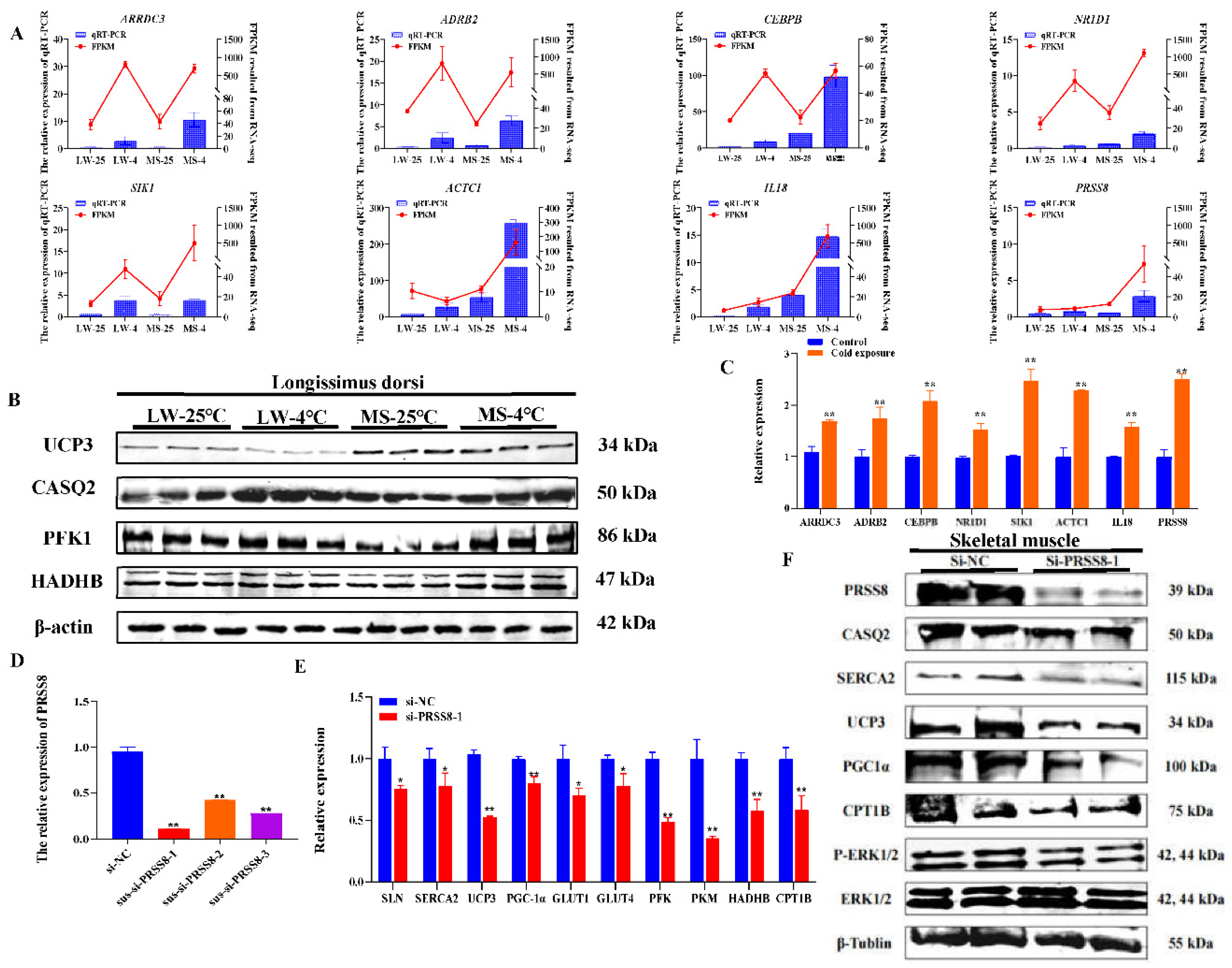 Preprints 84700 g007