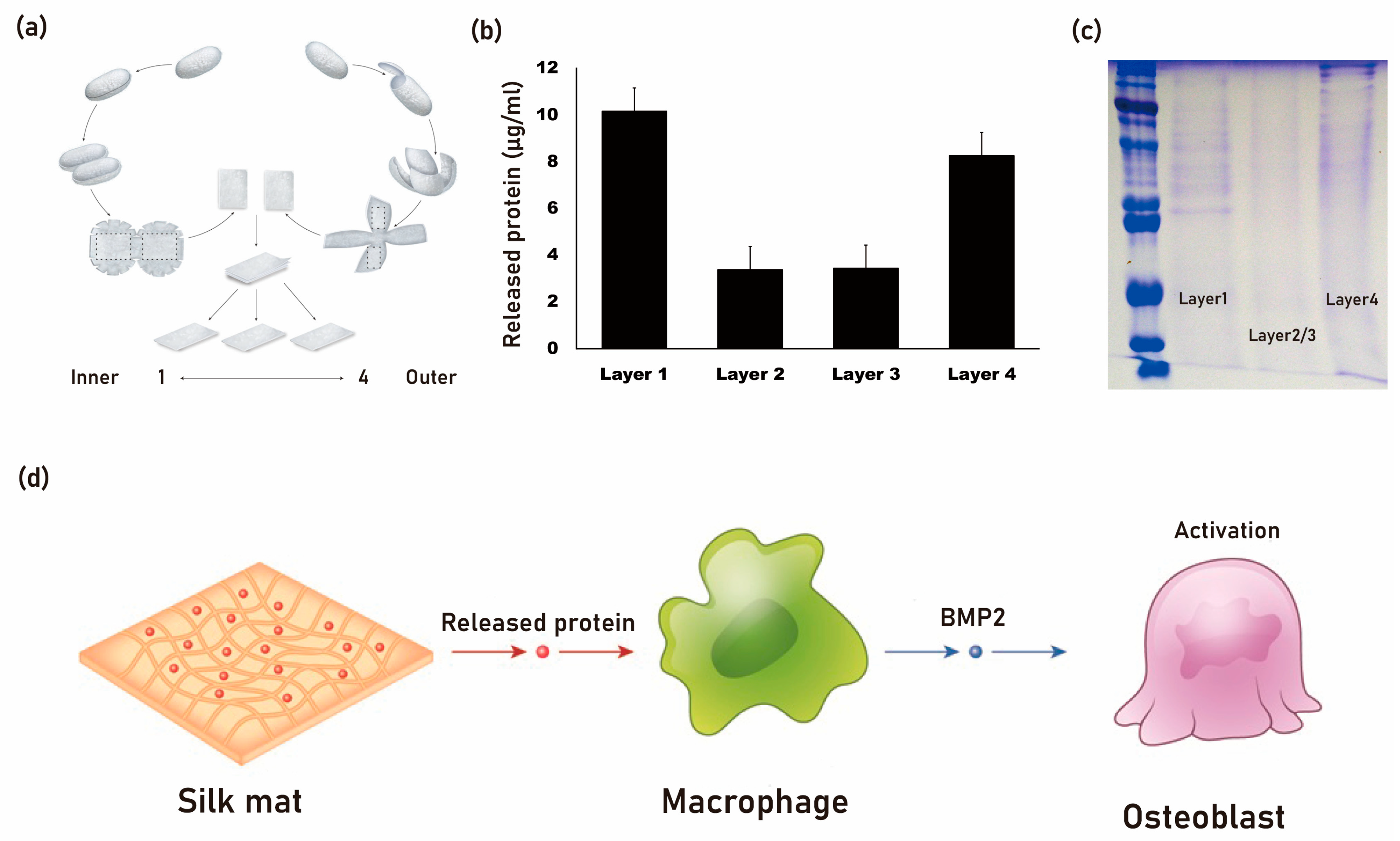 Preprints 80449 g002