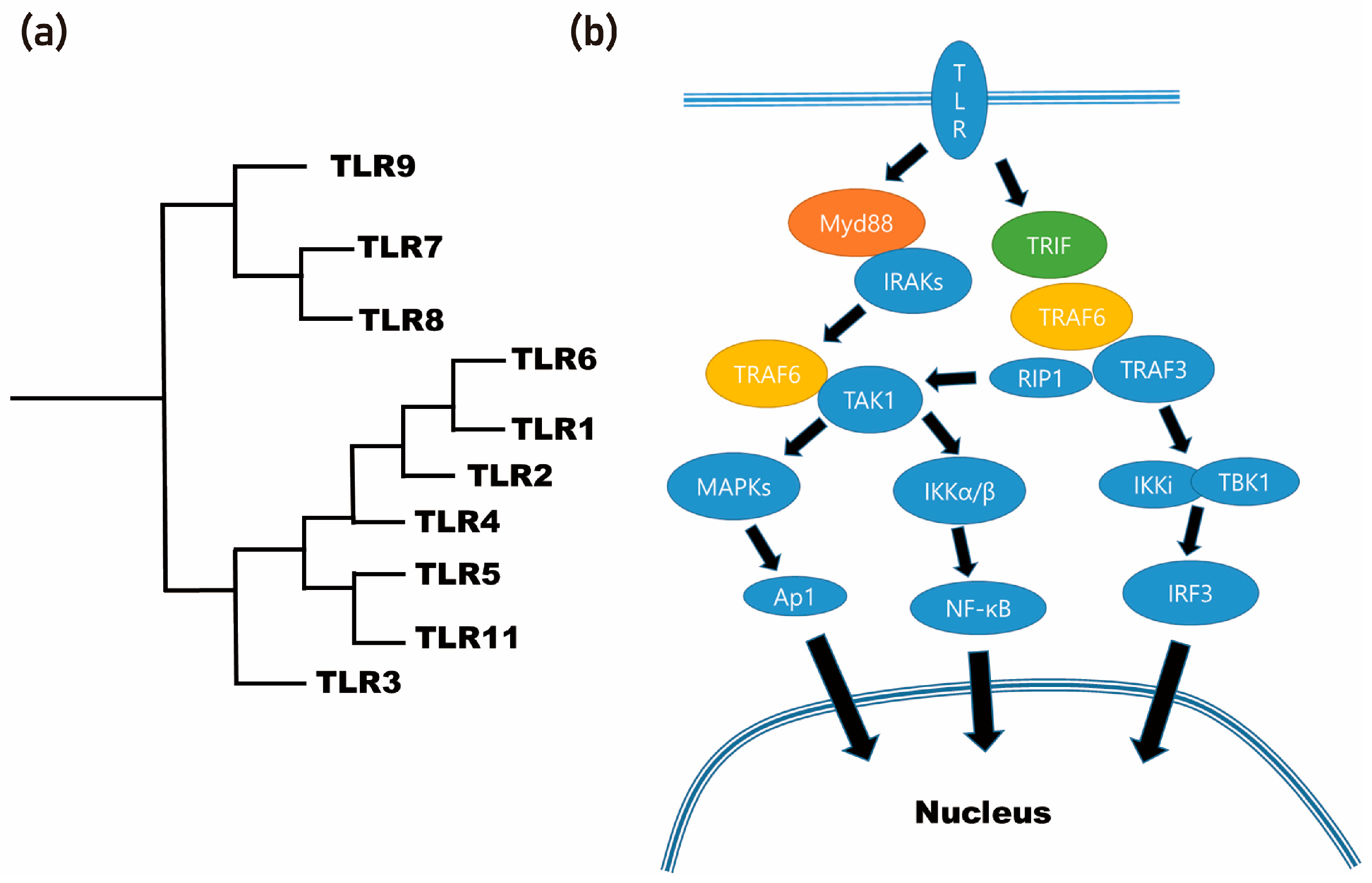 Preprints 80449 g003