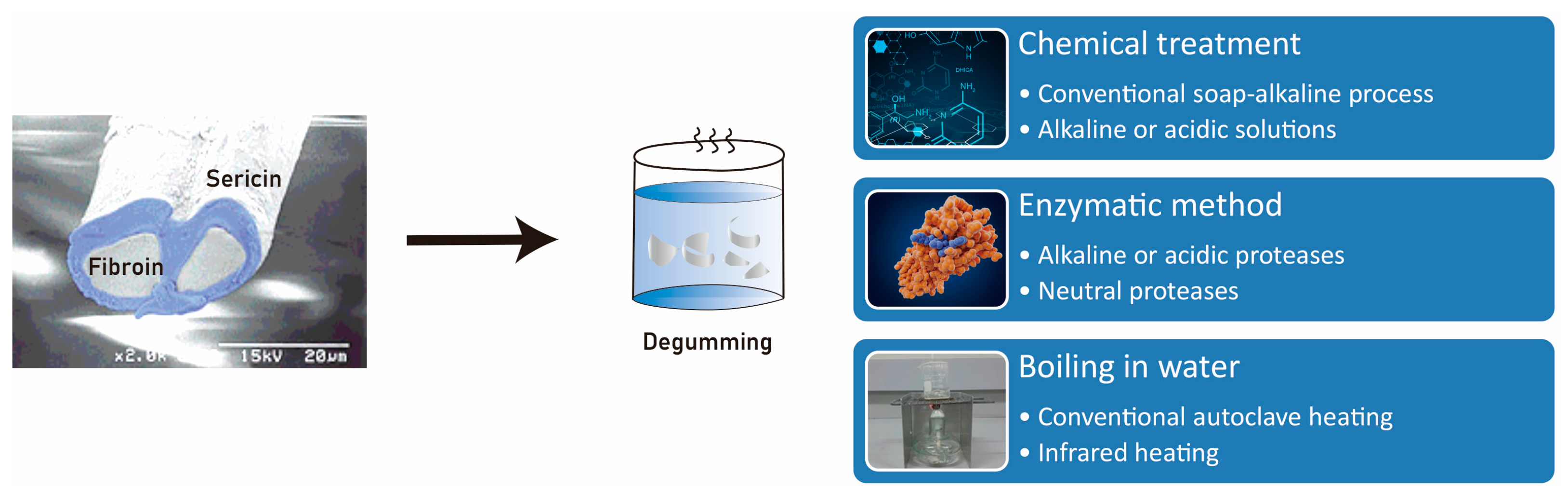 Preprints 80449 g004