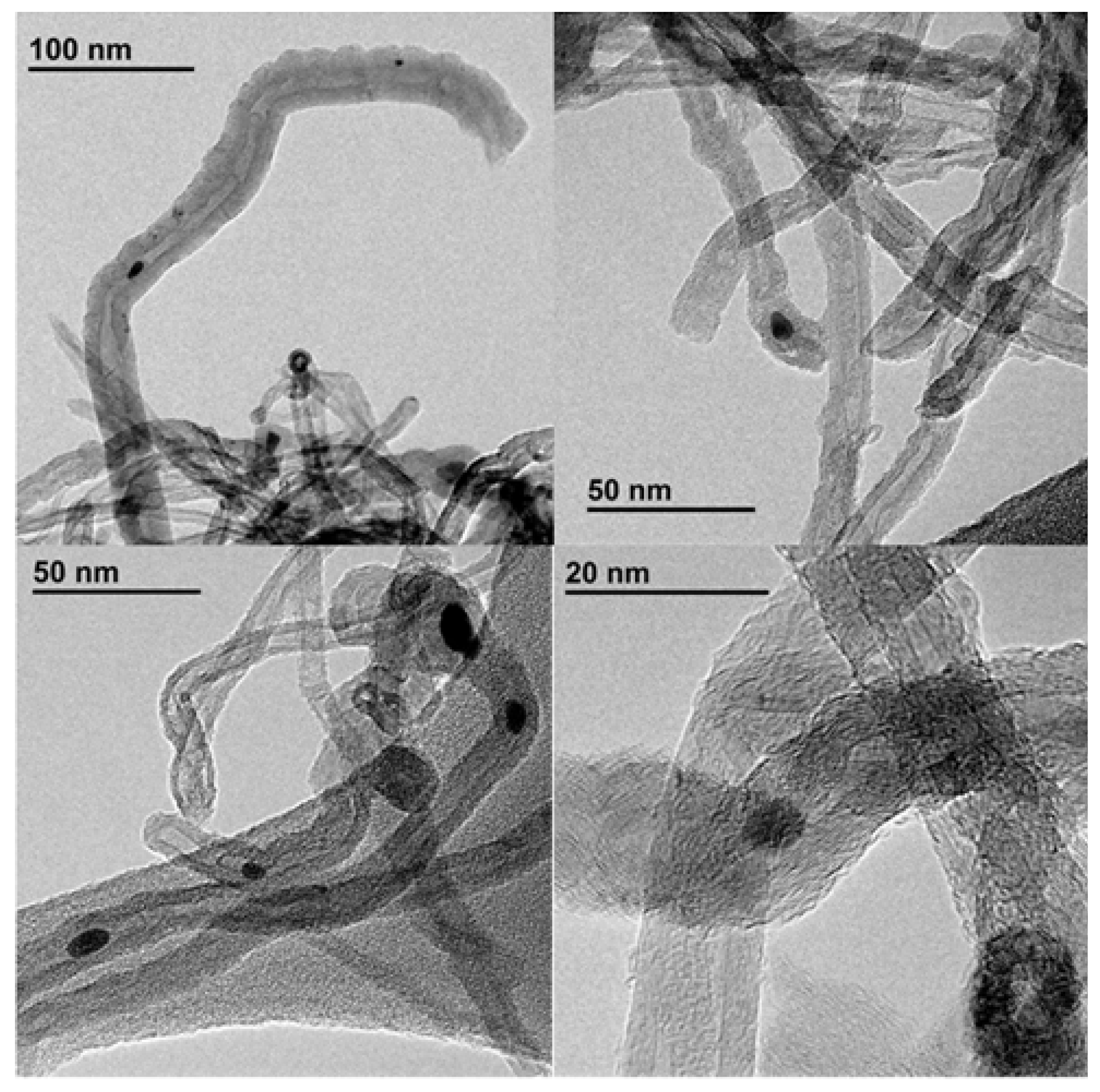 Preprints 106161 g001