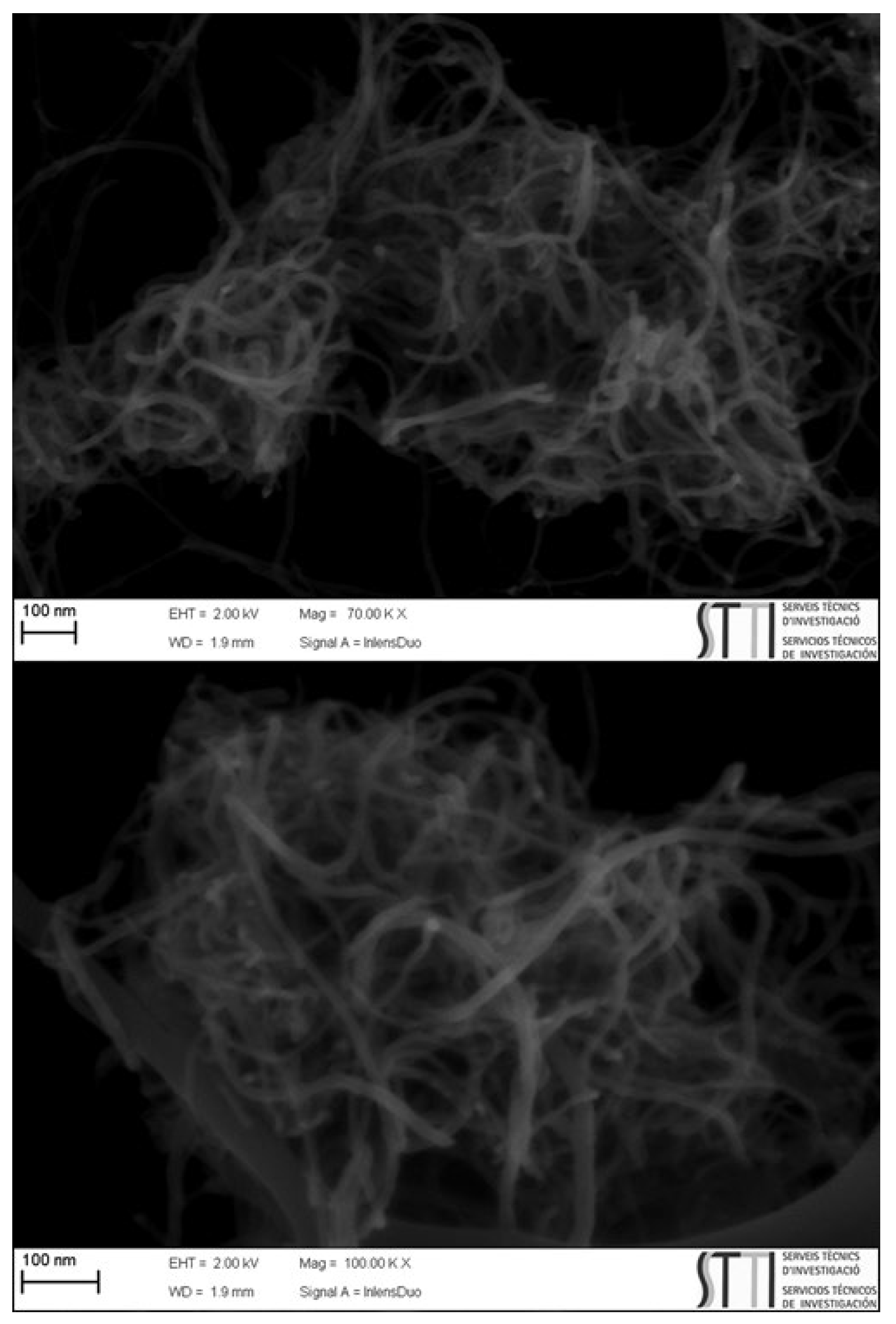 Preprints 106161 g002