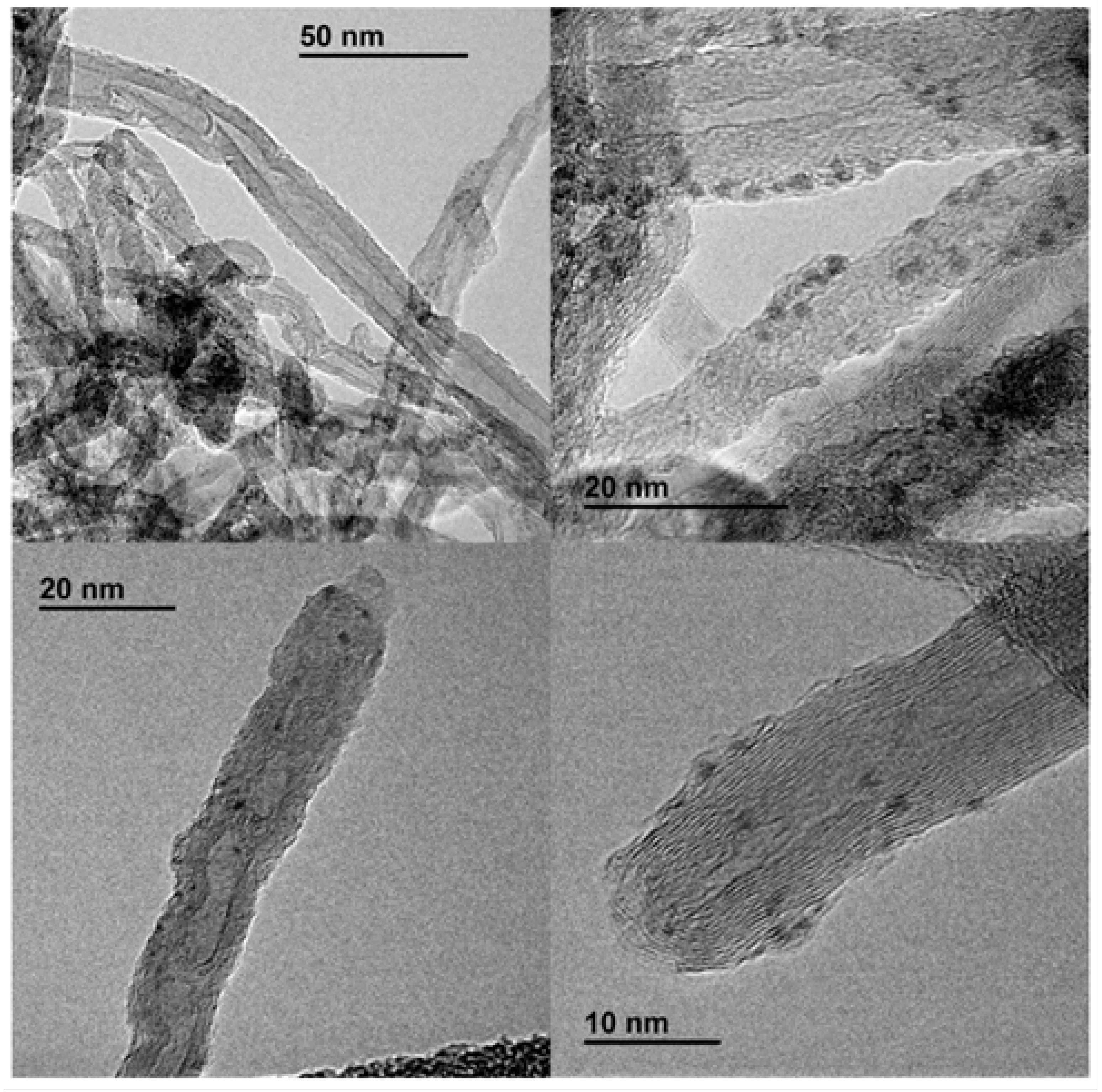 Preprints 106161 g012