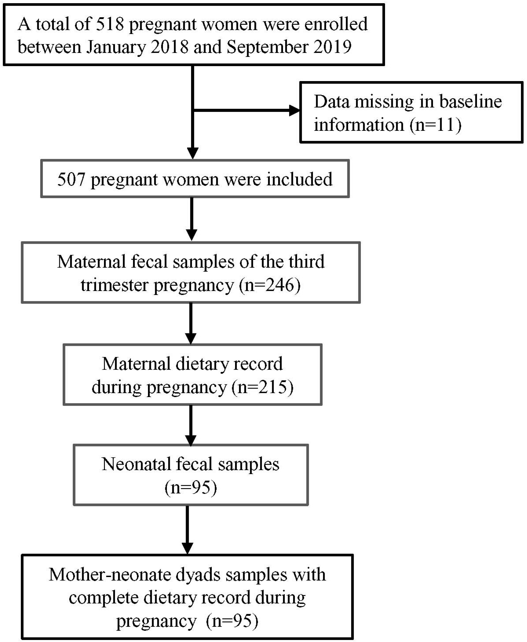 Preprints 88175 g001