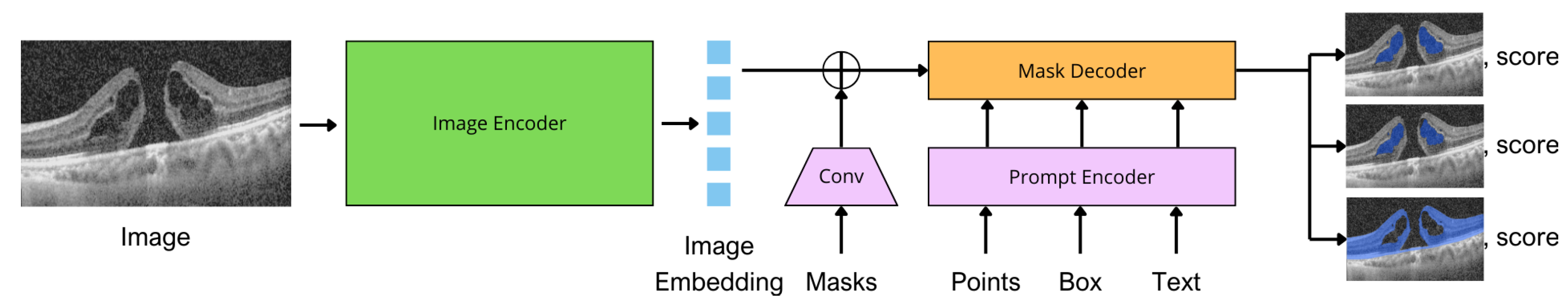 Preprints 117559 g002