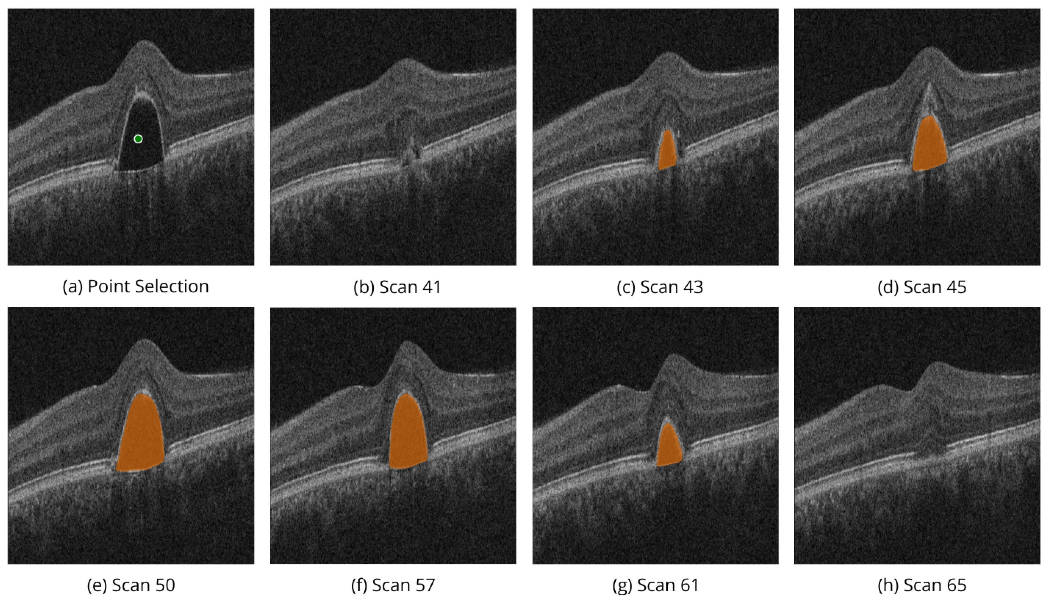 Preprints 117559 g007