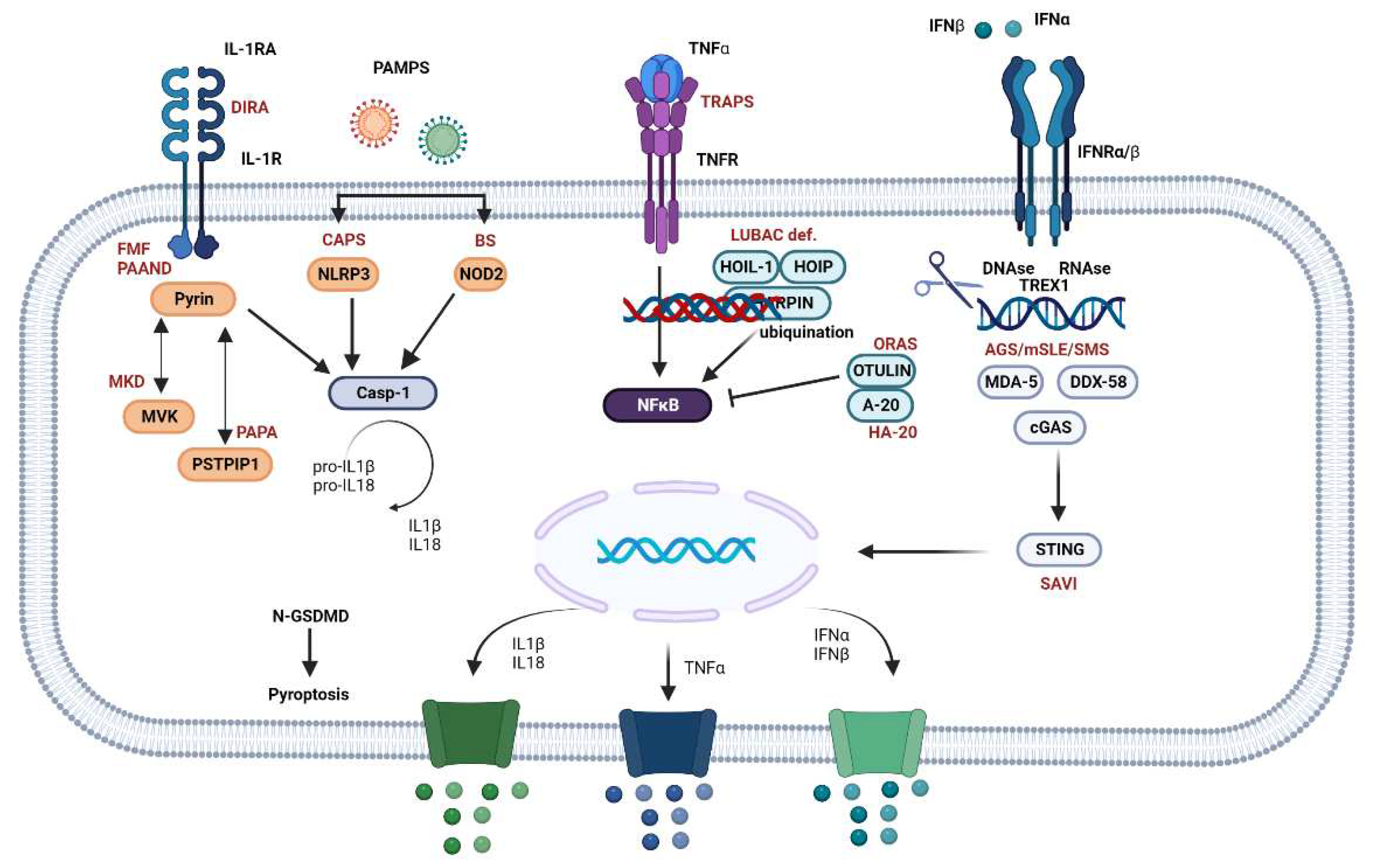 Preprints 82107 g002