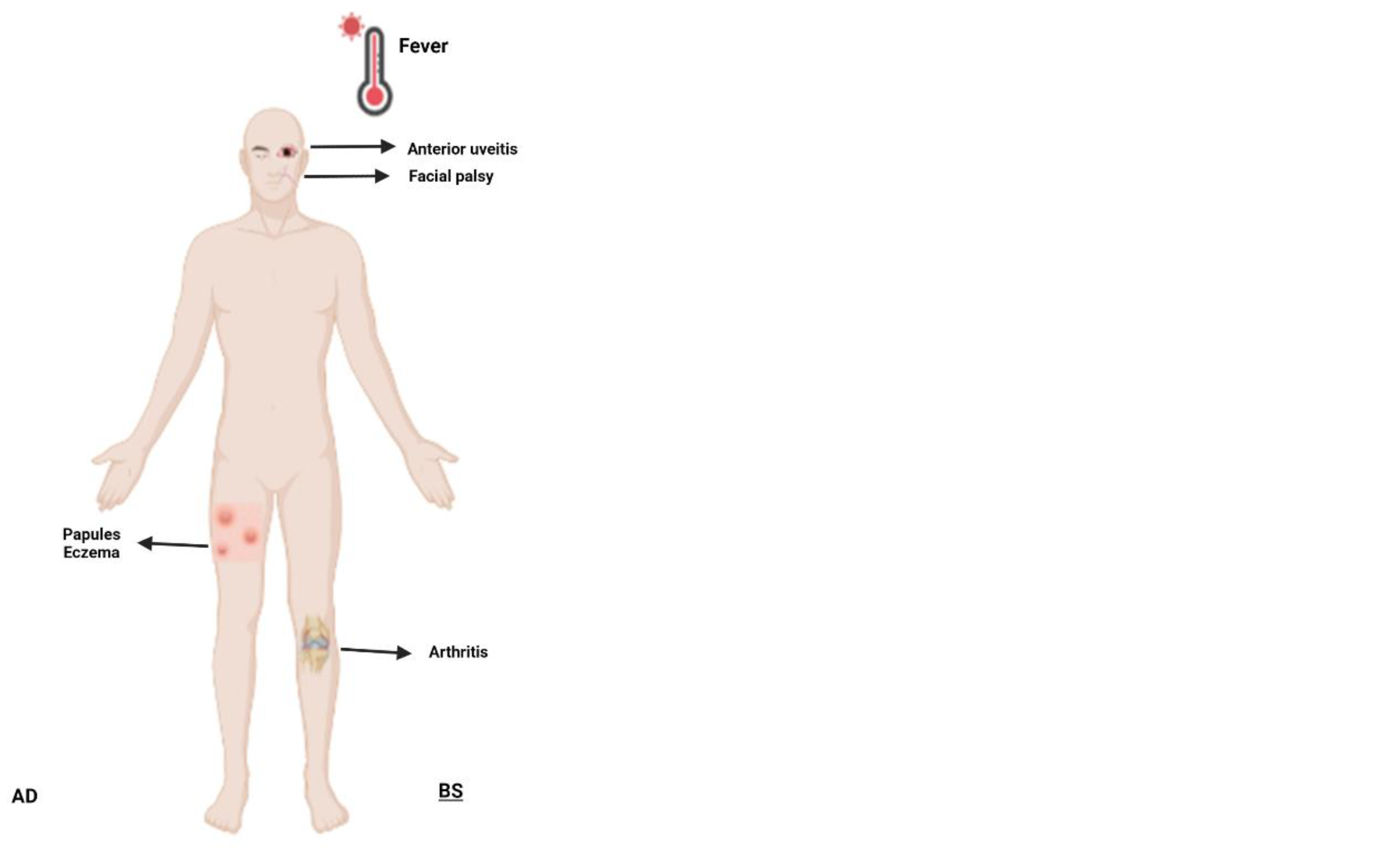 Preprints 82107 g003c