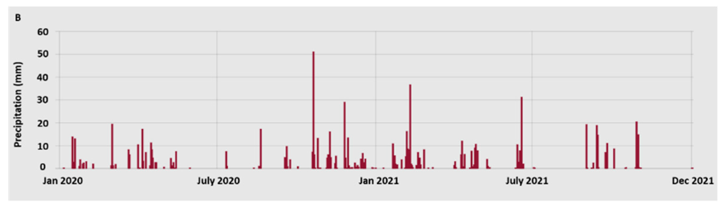 Preprints 82522 g001b