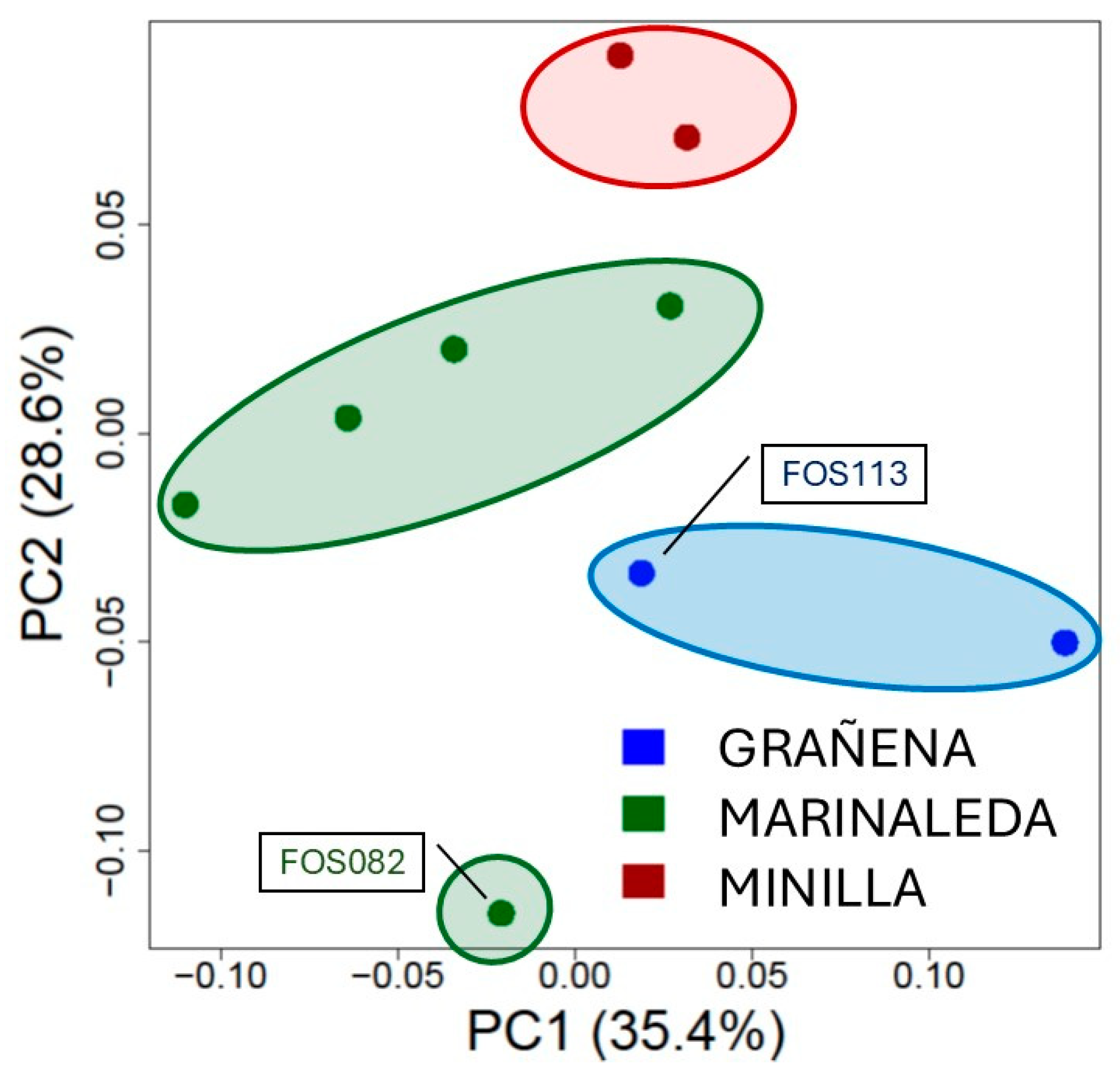 Preprints 140285 g004