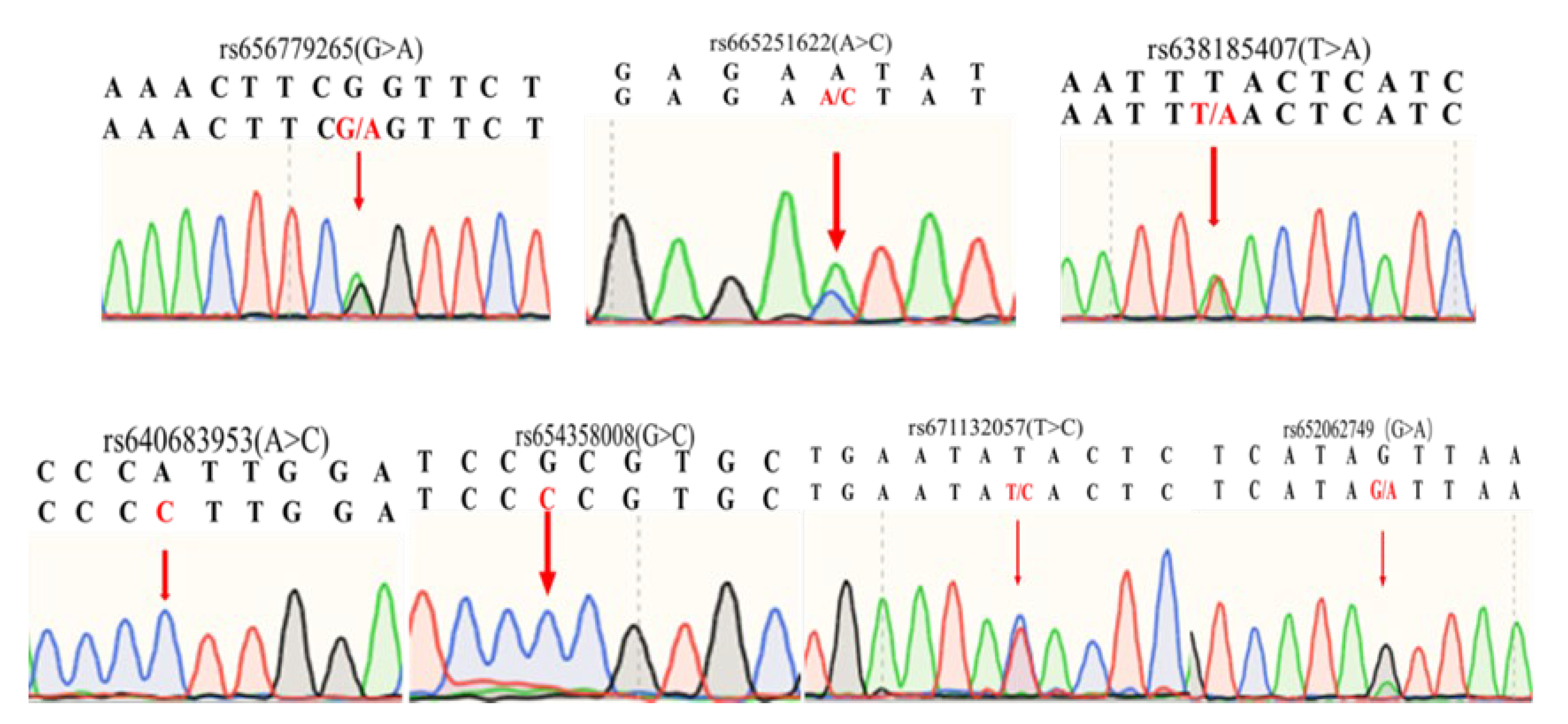 Preprints 108894 g001