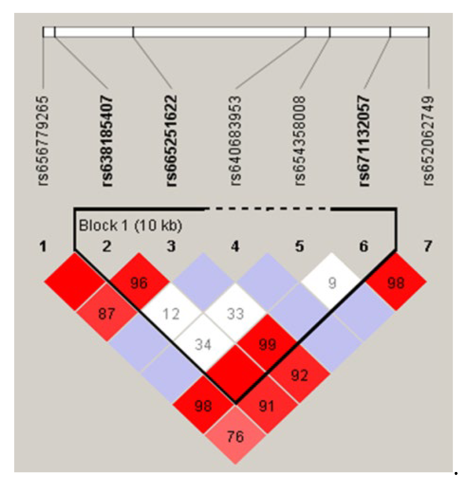 Preprints 108894 g003